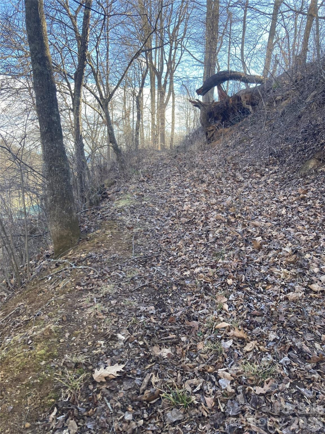 00 Sweet Creek Road - Photo 11