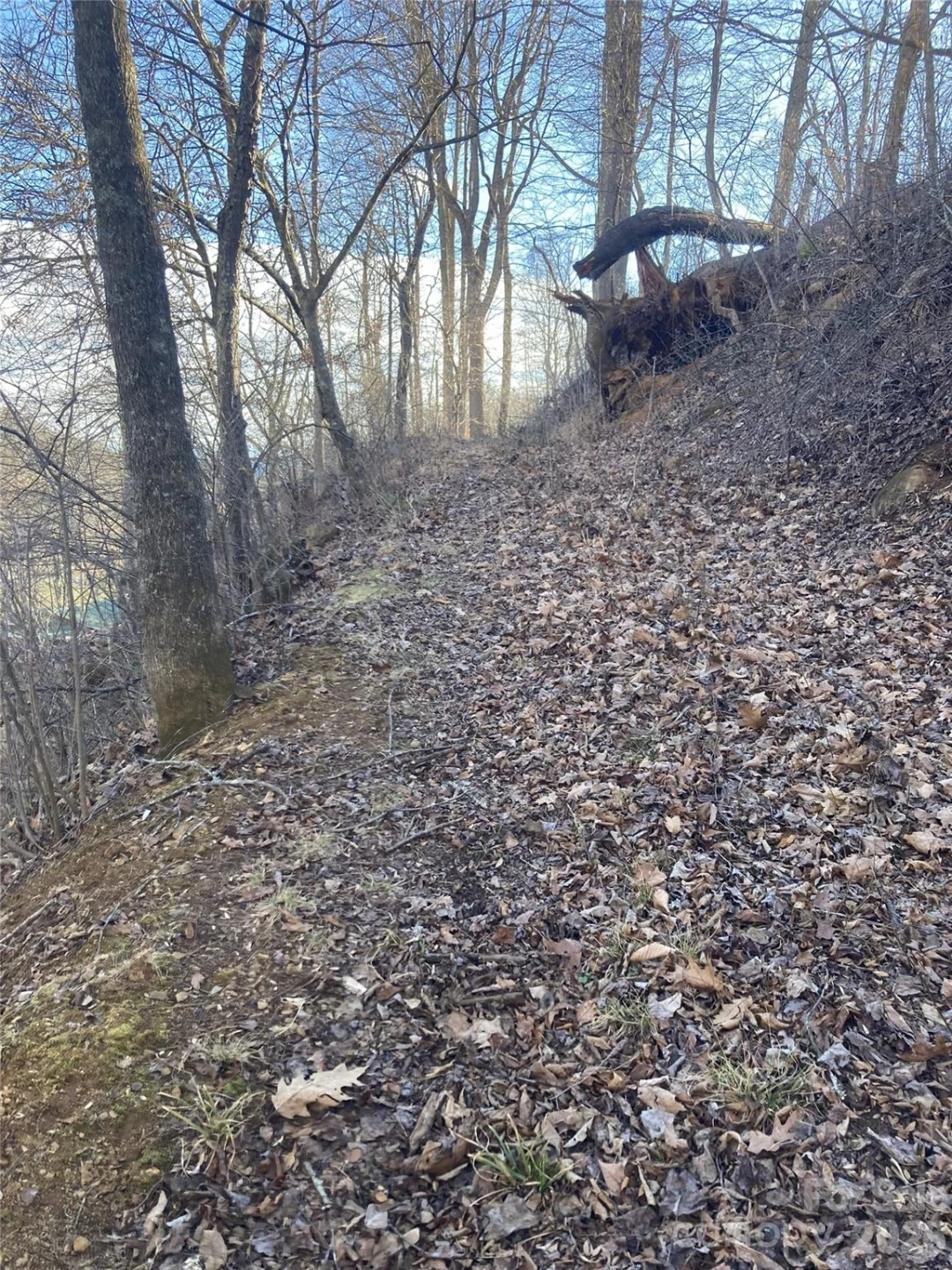 00 Sweet Creek Road - Photo 11
