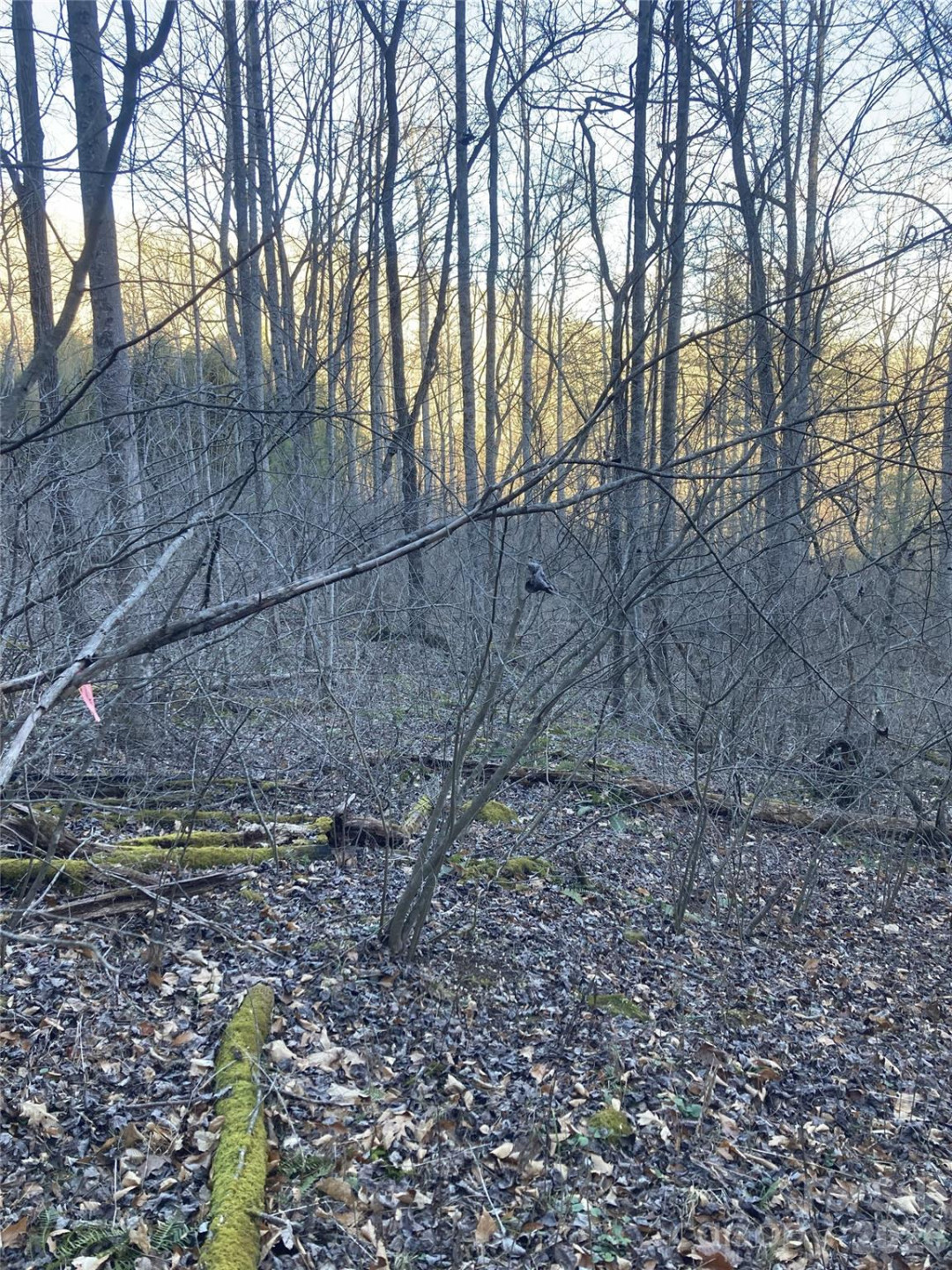 00 Sweet Creek Road - Photo 13