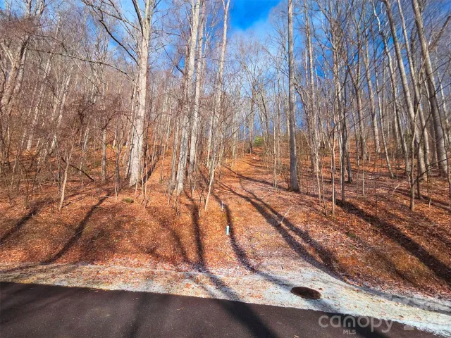455 Mountain Watch Drive