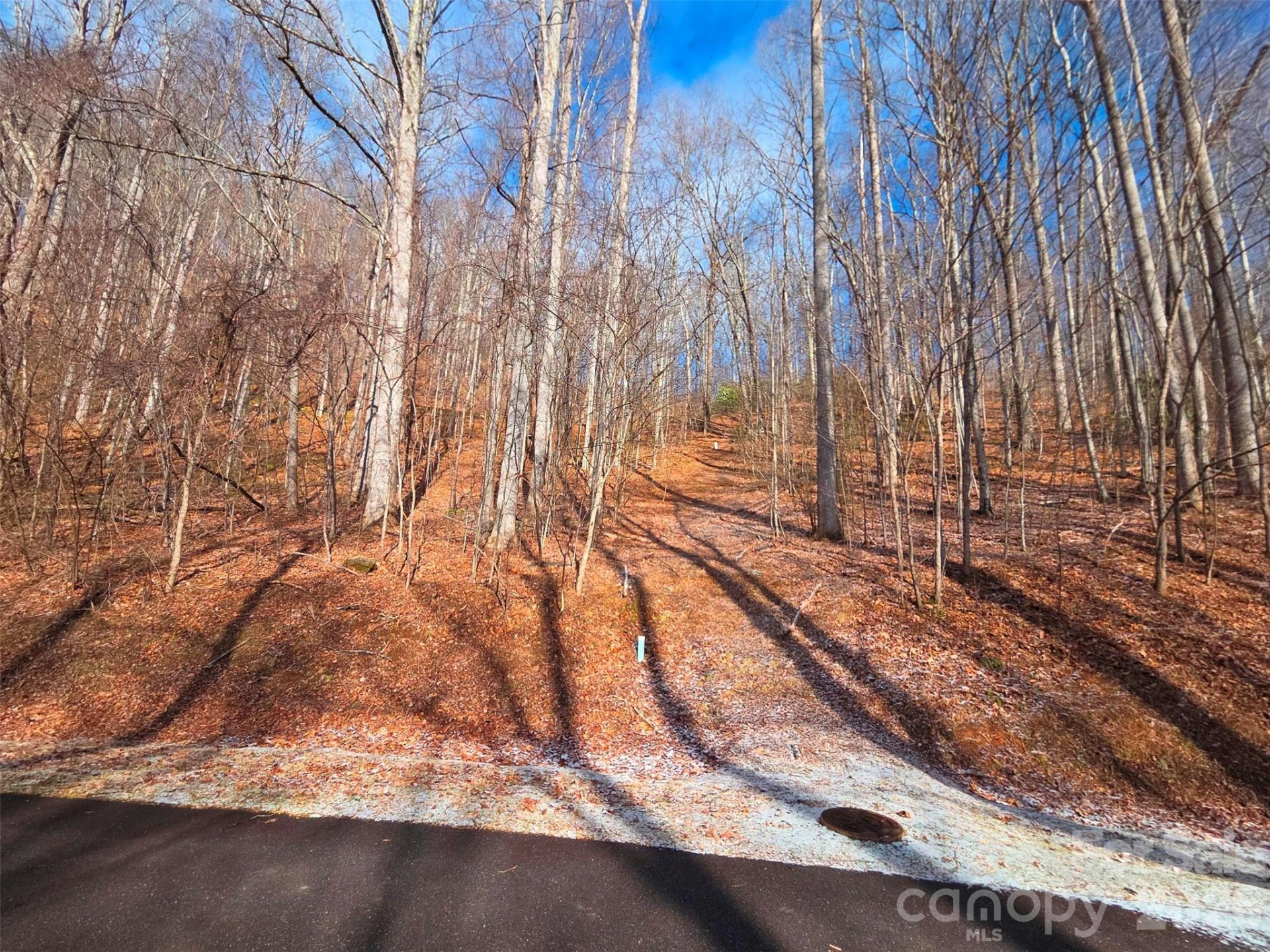 455 Mountain Watch Drive #16