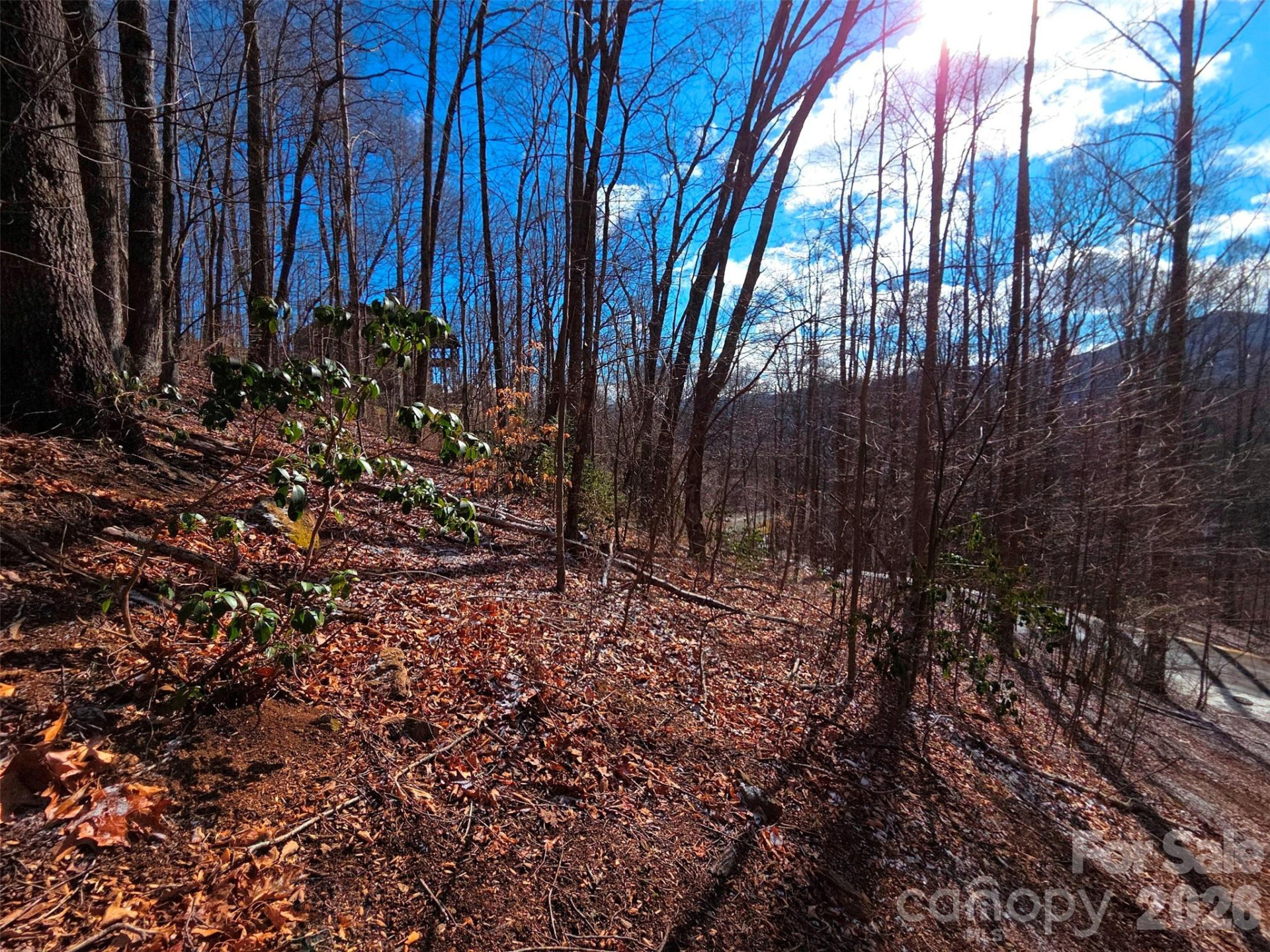 455 Mountain Watch Drive #16 - Photo 13