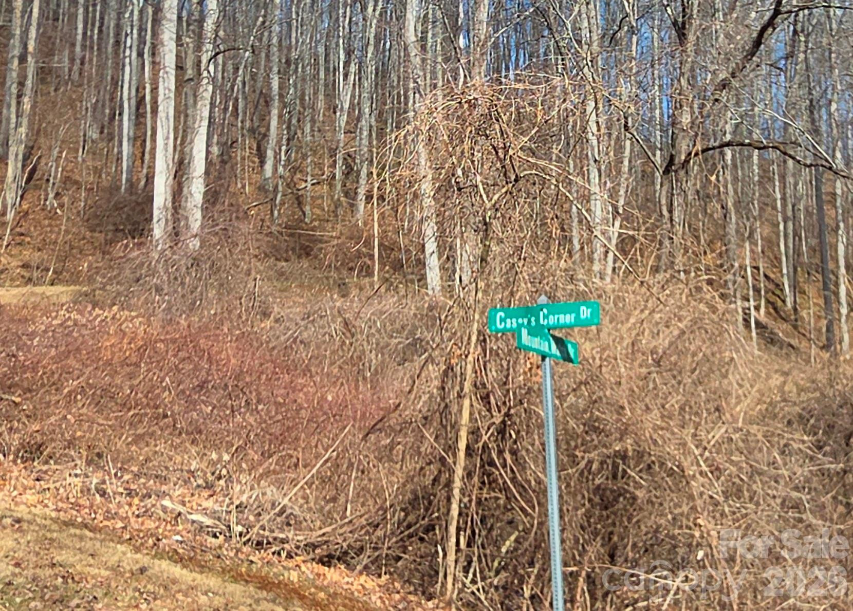 455 Mountain Watch Drive #16 - Photo 15