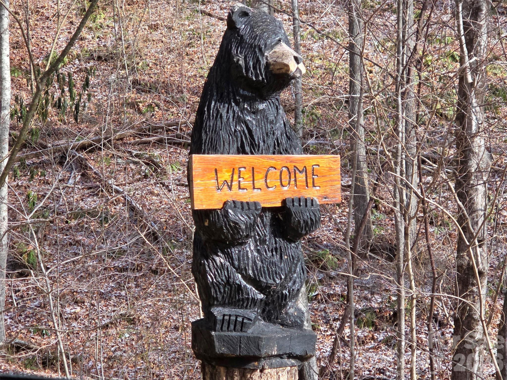 455 Mountain Watch Drive #16 - Photo 3