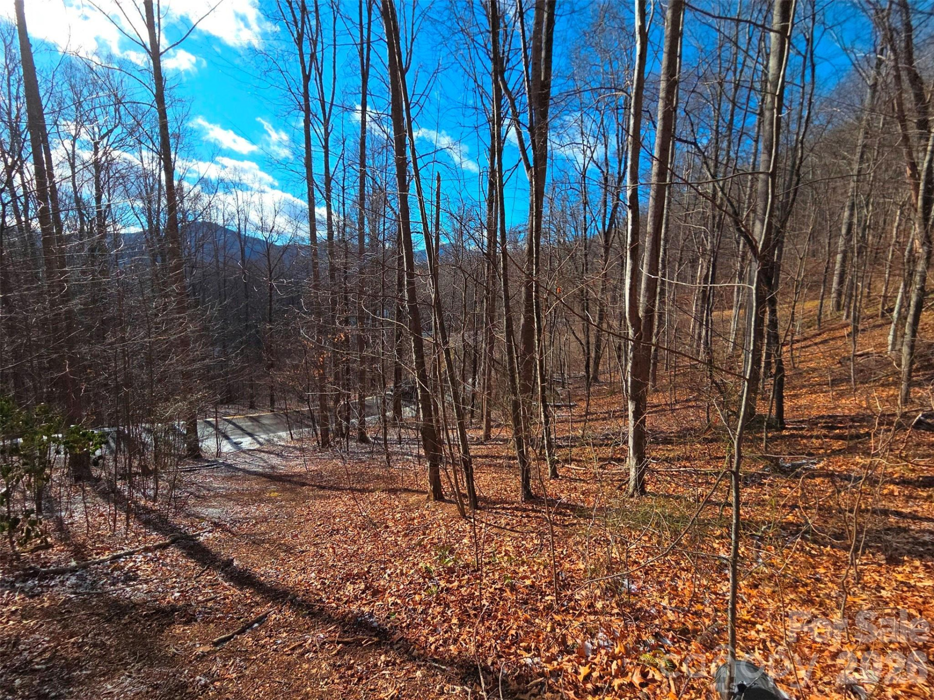 455 Mountain Watch Drive #16 - Photo 4