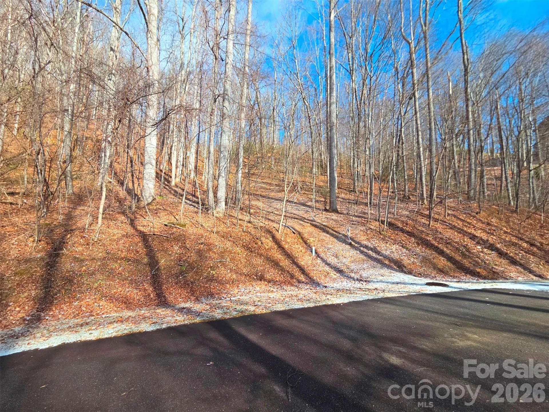 455 Mountain Watch Drive #16 - Photo 8