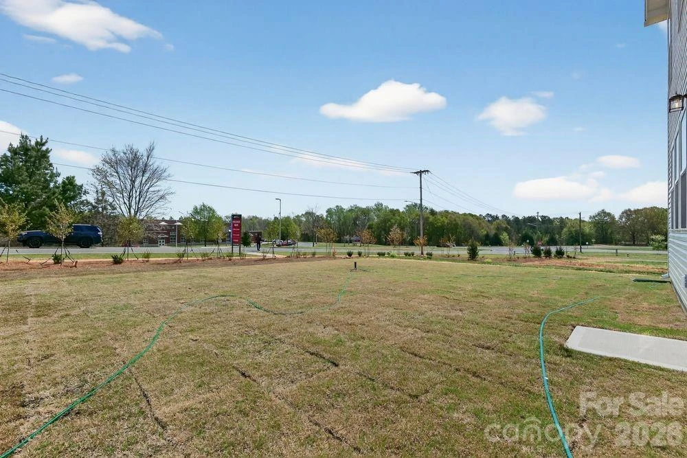 509 Silver Birch Court - Photo 28