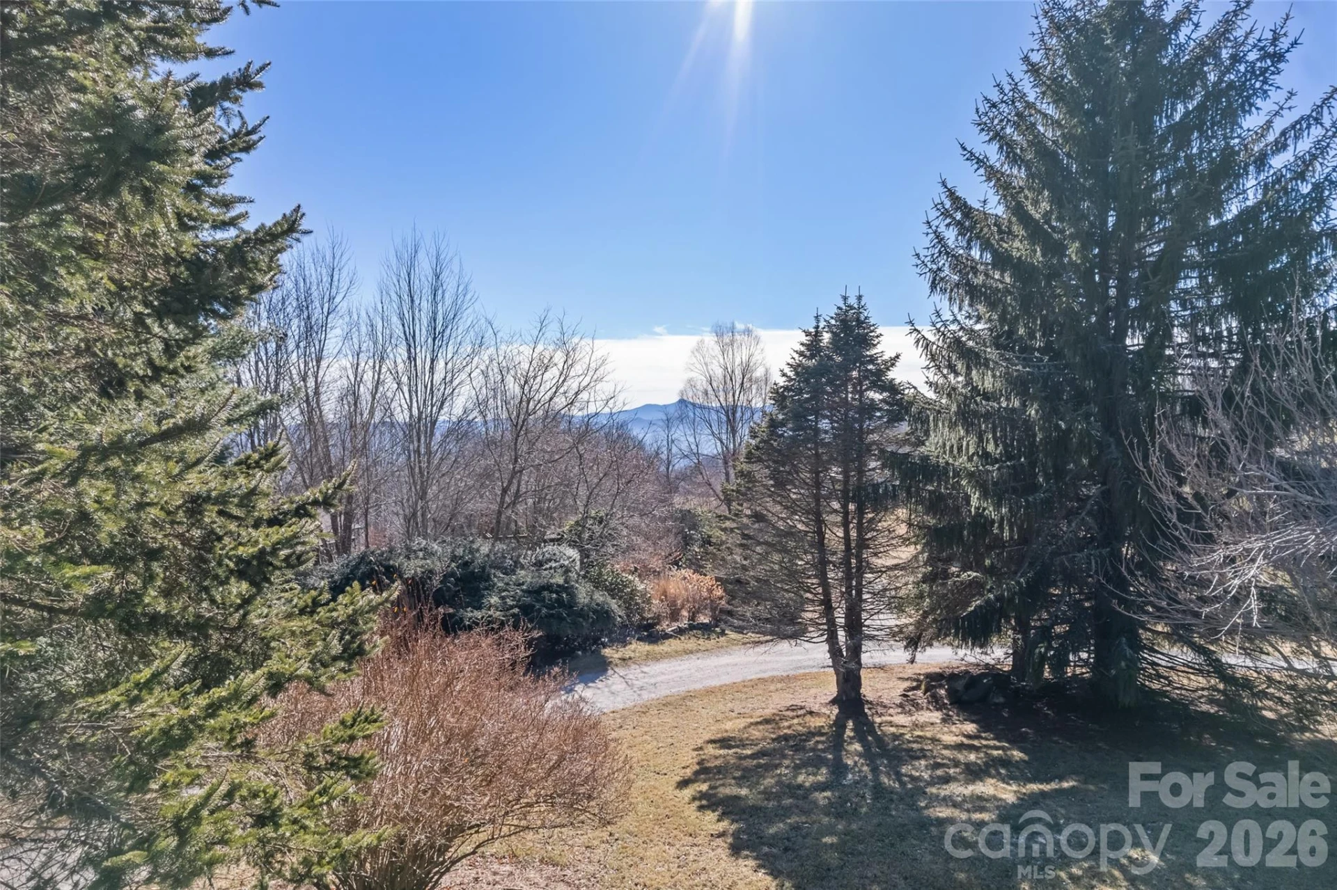 286 Pioneer Ridge Road - Photo 21