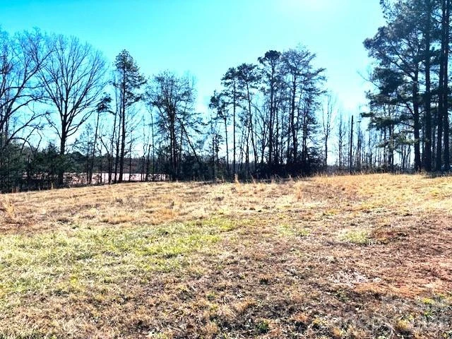 00 Meade Lane #23 - Photo 3