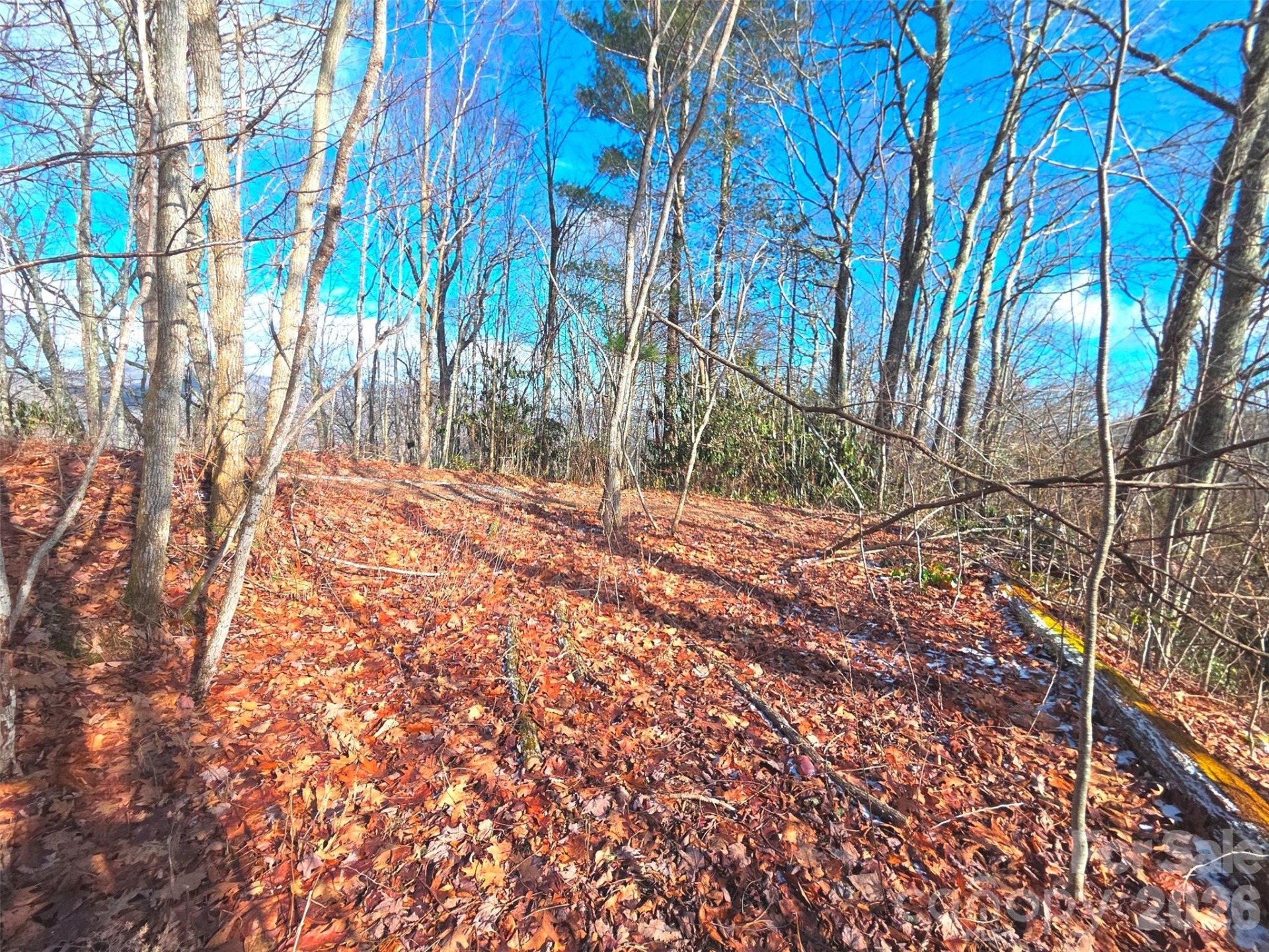 550 Sky Drive #12A - Photo 2