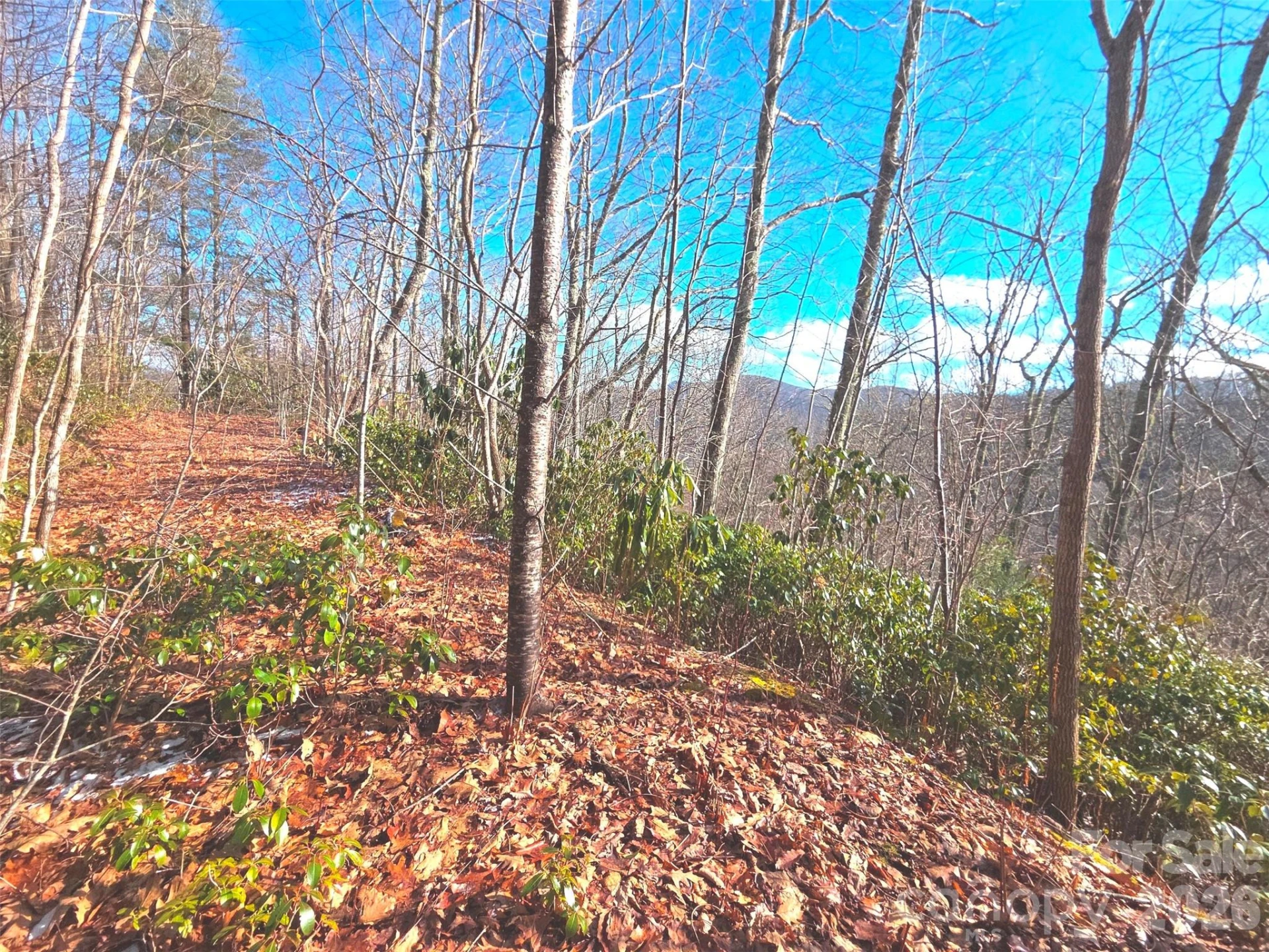550 Sky Drive #12A - Photo 11