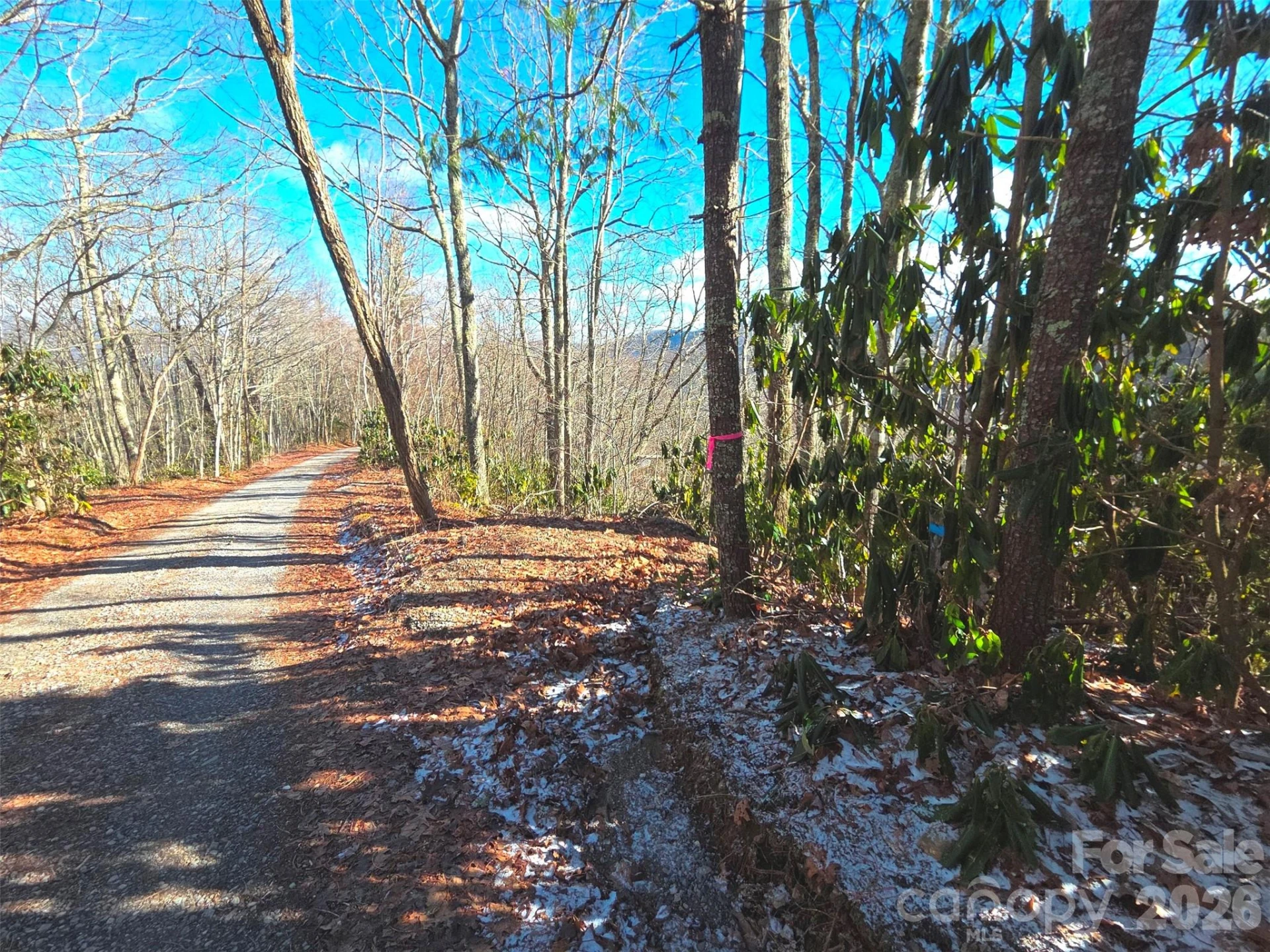 550 Sky Drive #12A - Photo 13