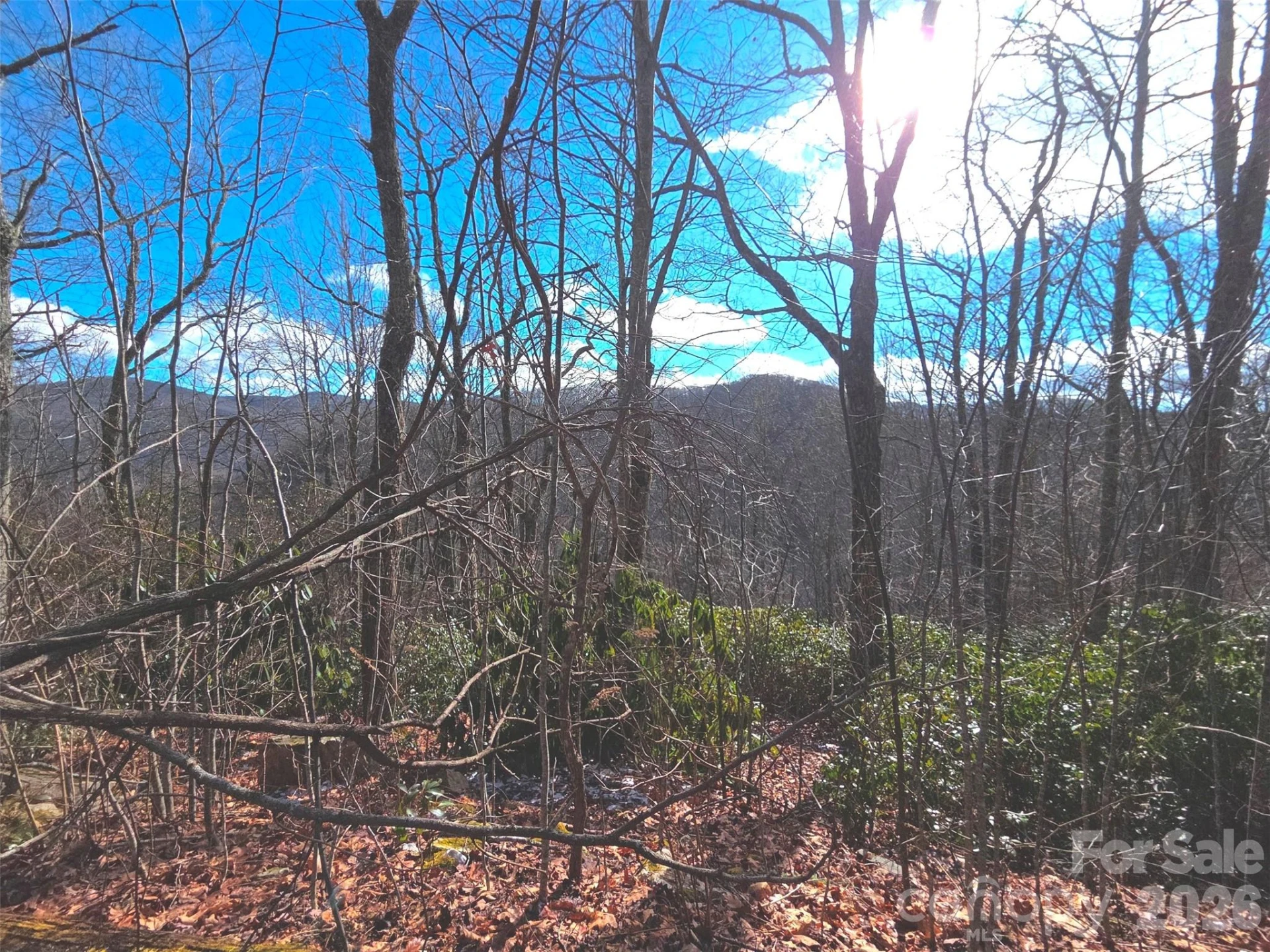 550 Sky Drive #12A - Photo 3