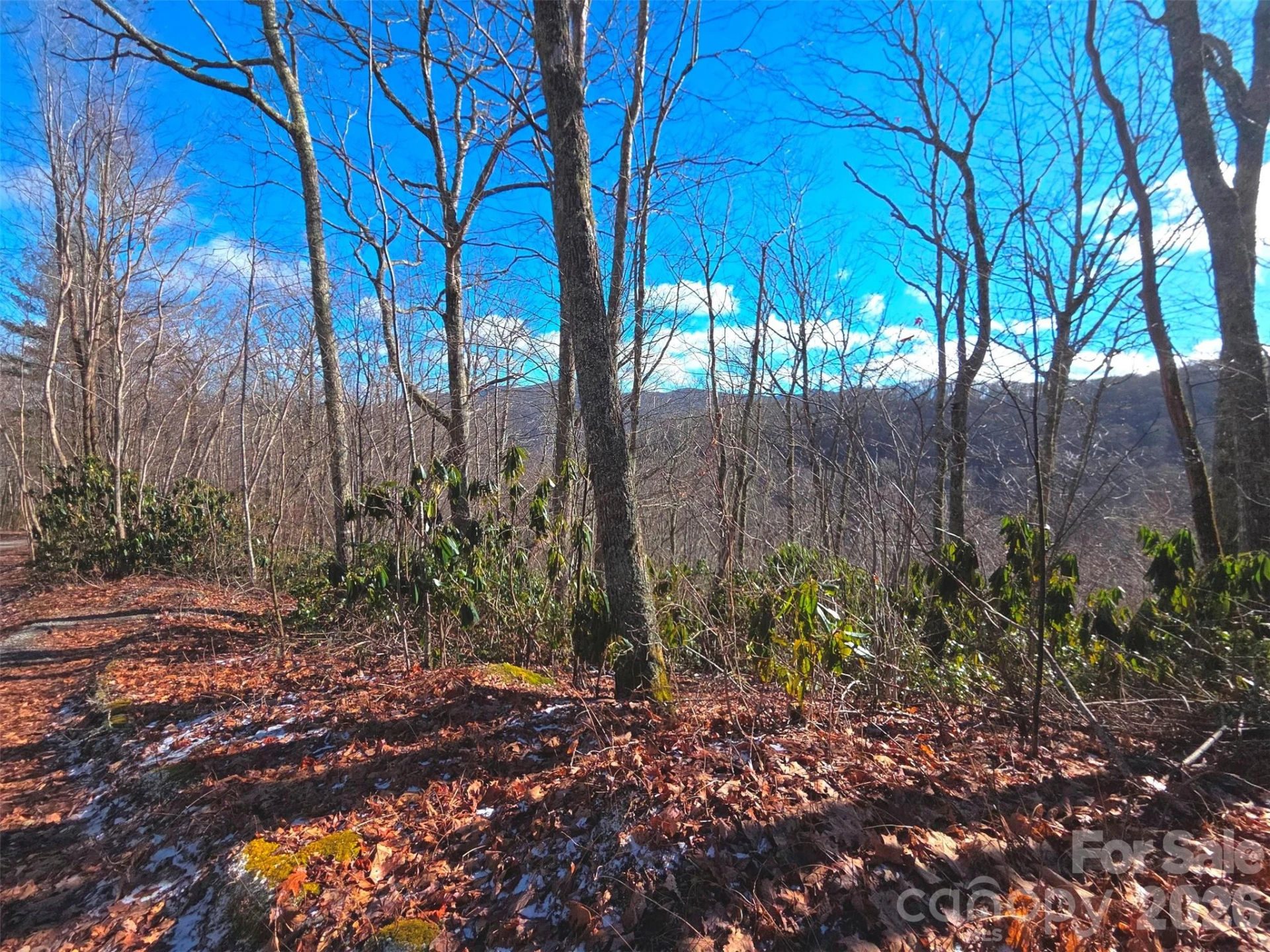 550 Sky Drive #12A - Photo 5