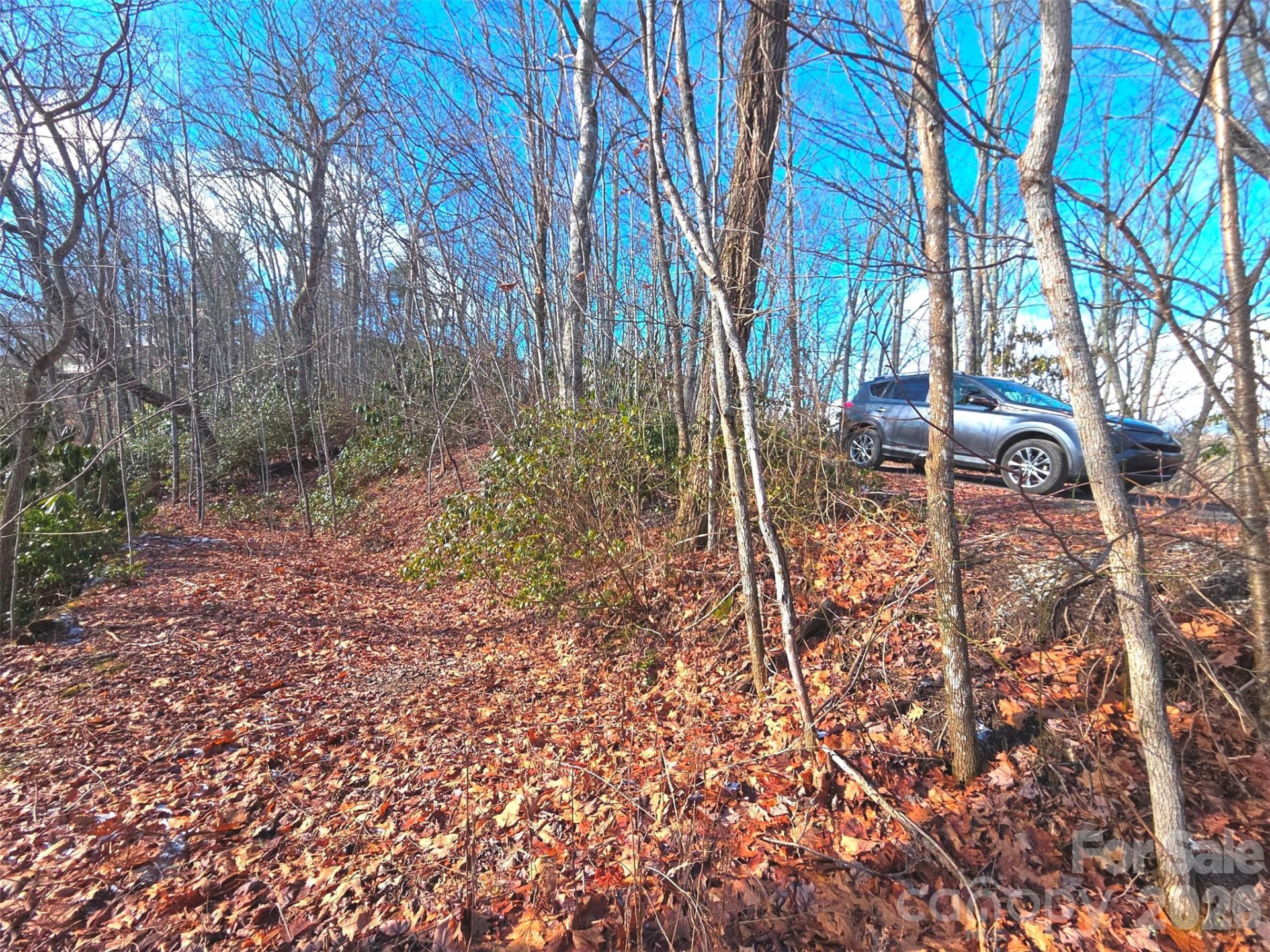 550 Sky Drive #12A - Photo 6