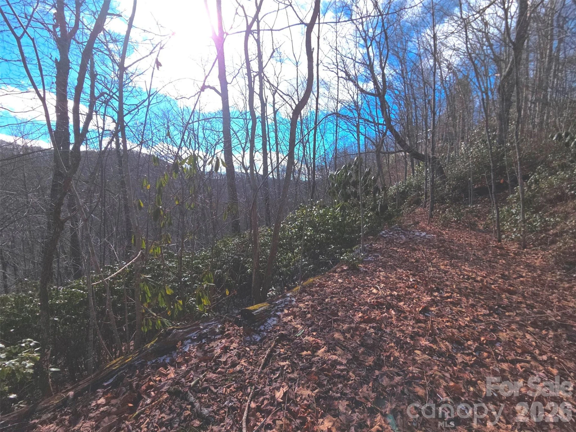 550 Sky Drive #12A - Photo 7