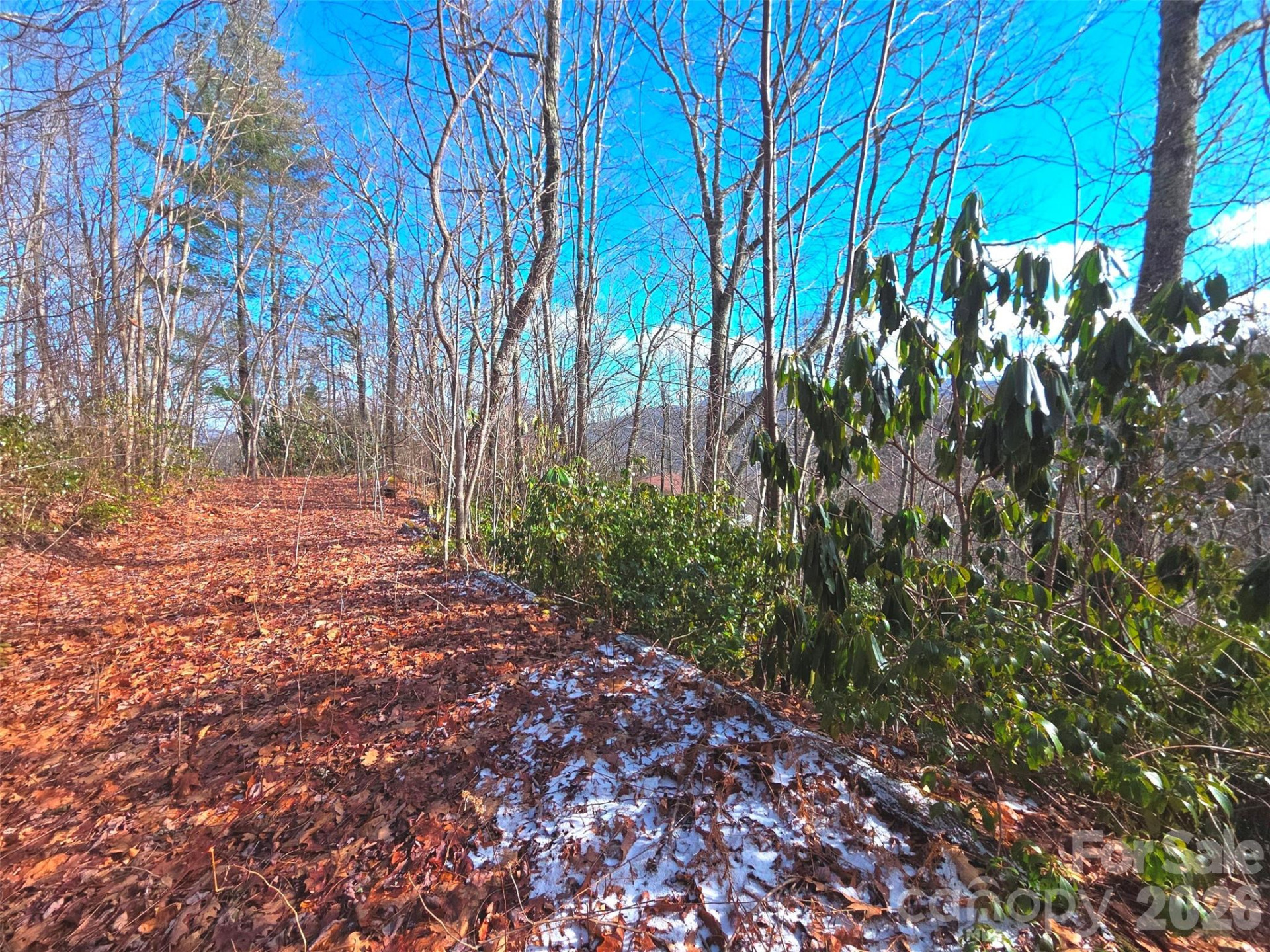 550 Sky Drive #12A - Photo 8