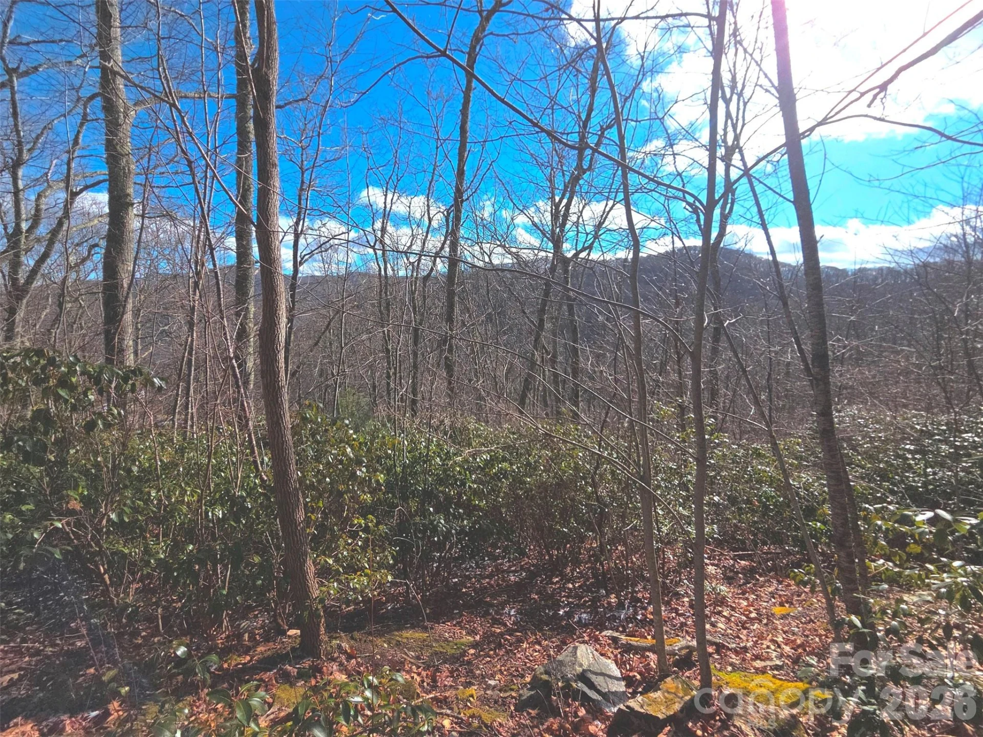 550 Sky Drive #12A - Photo 10