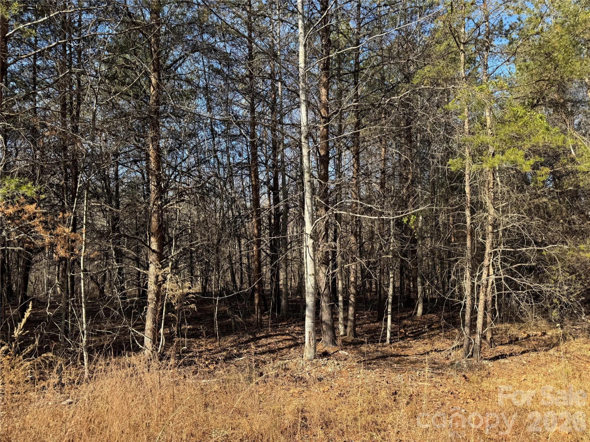 0 Burt Blackwell Road - Photo 2