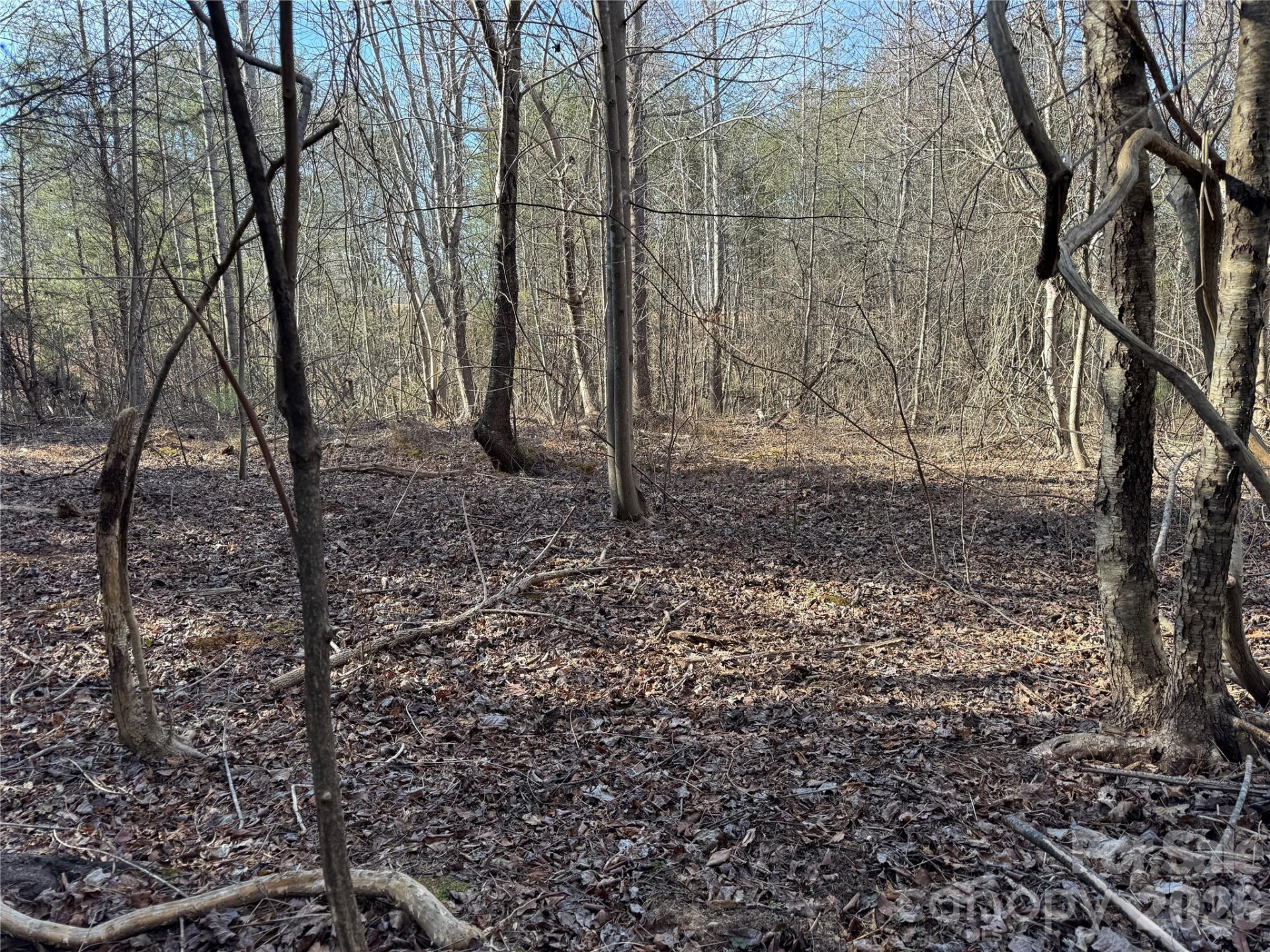 0 Burt Blackwell Road - Photo 3