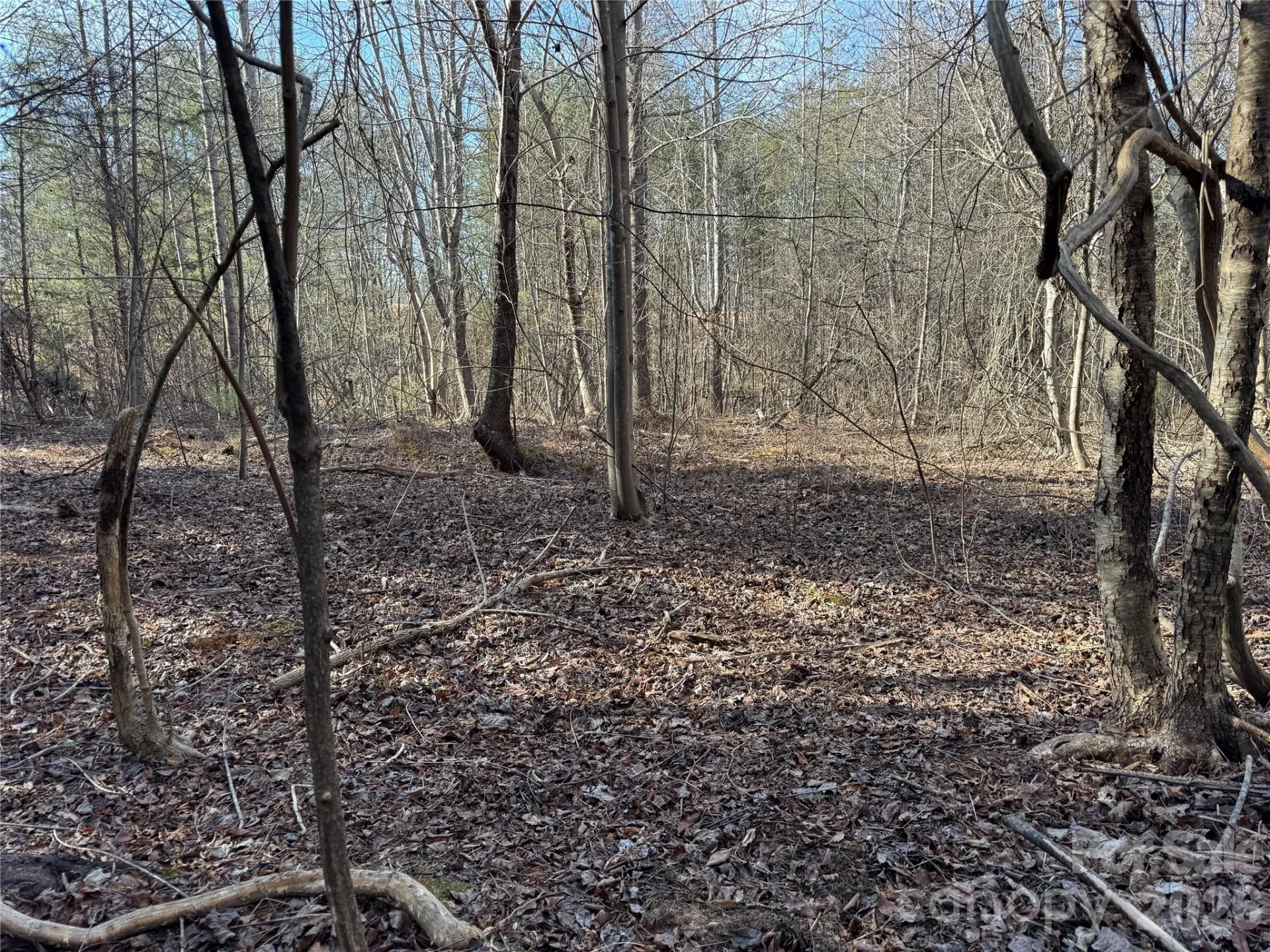 0 Burt Blackwell Road - Photo 3