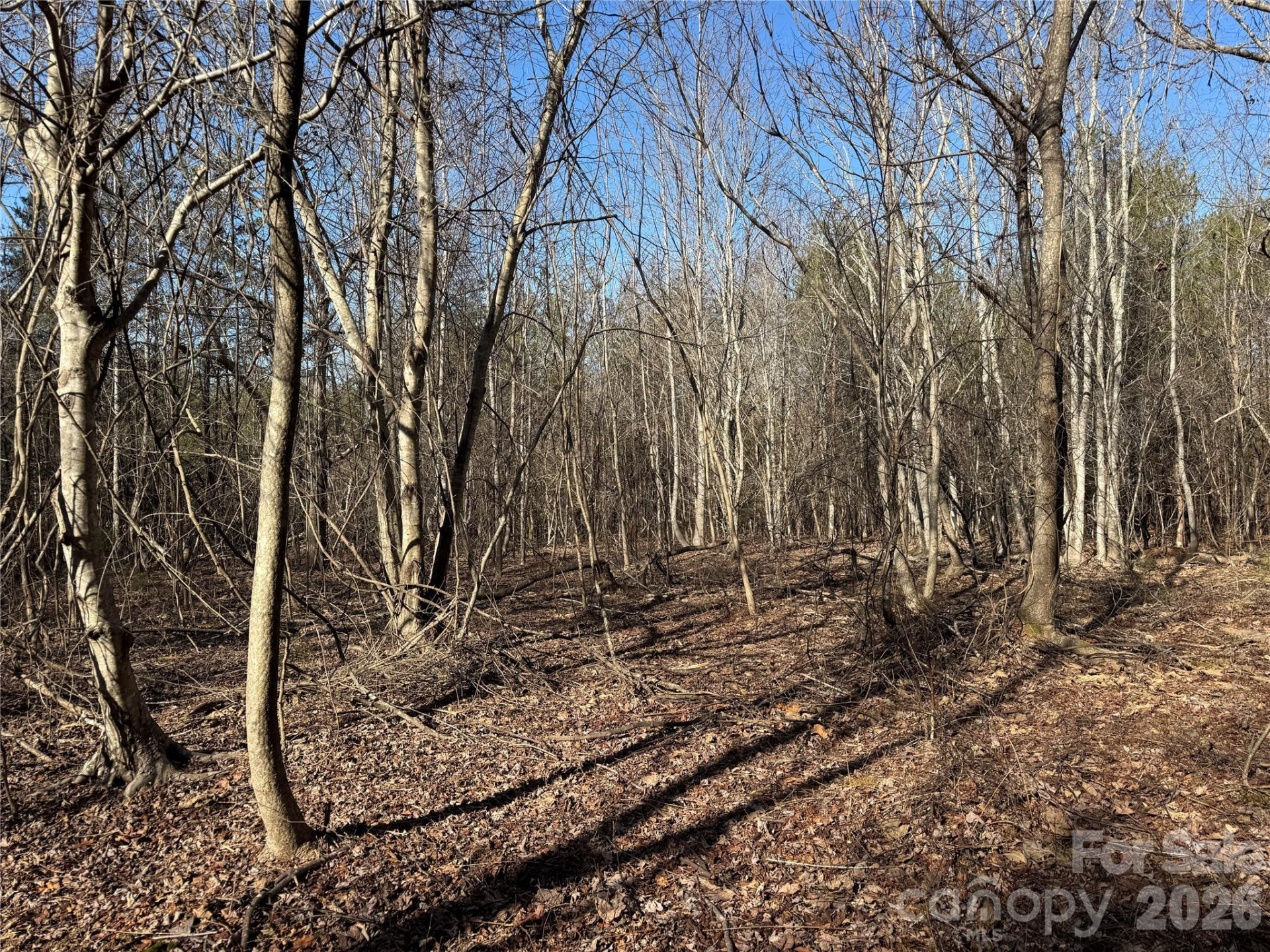 0 Burt Blackwell Road - Photo 4