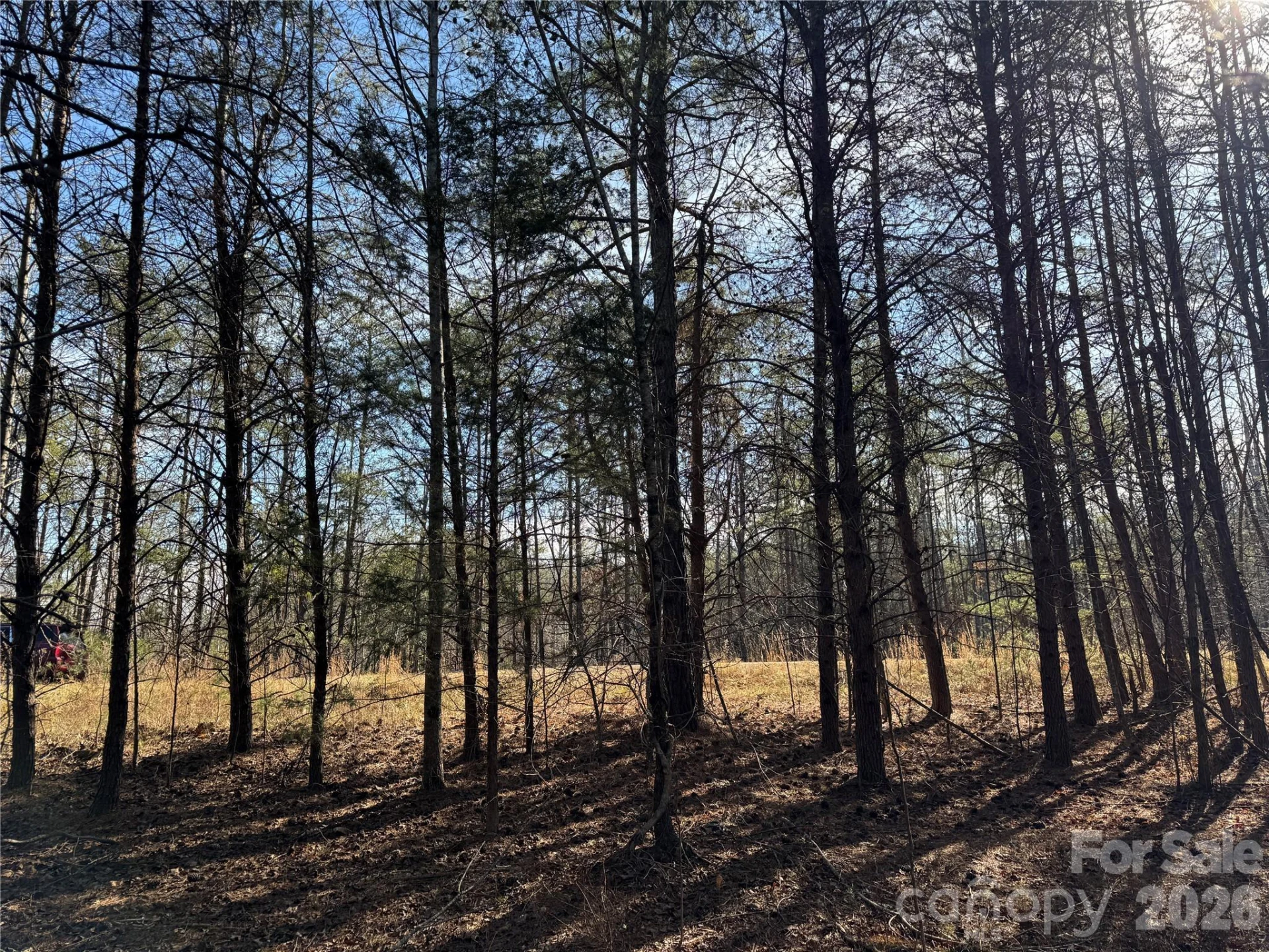 0 Burt Blackwell Road - Photo 5