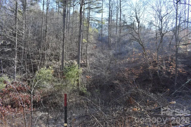448 Sweetwater Road