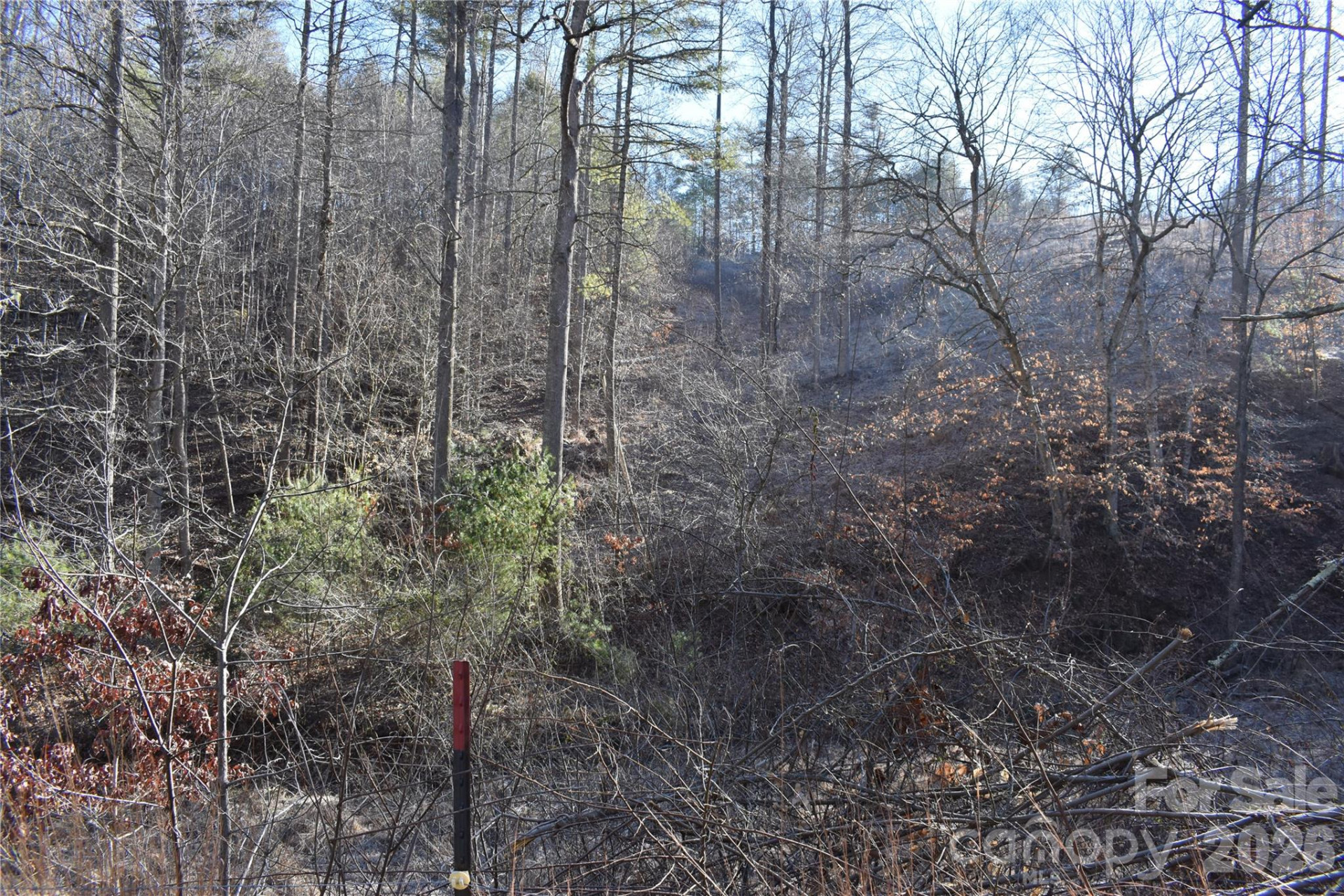 448 Sweetwater Road - Photo 2