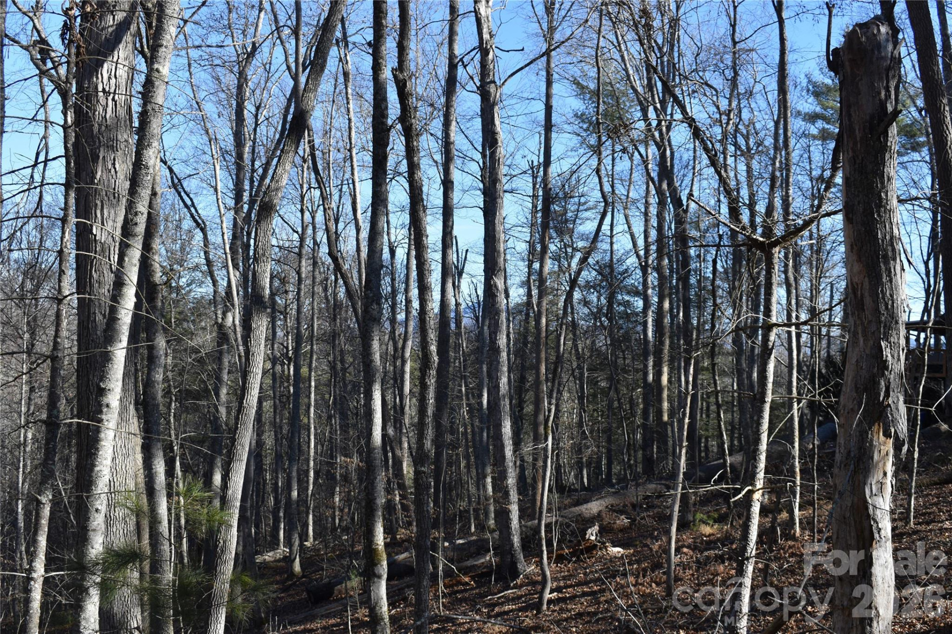 448 Sweetwater Road - Photo 11