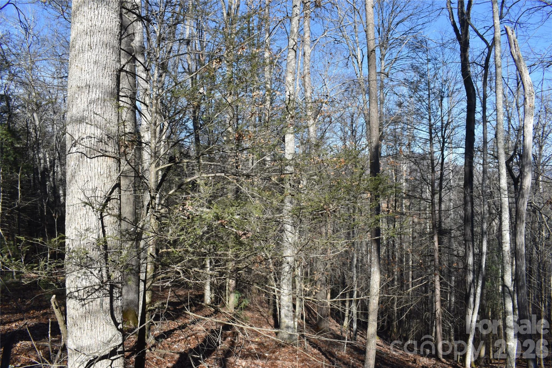 448 Sweetwater Road - Photo 12