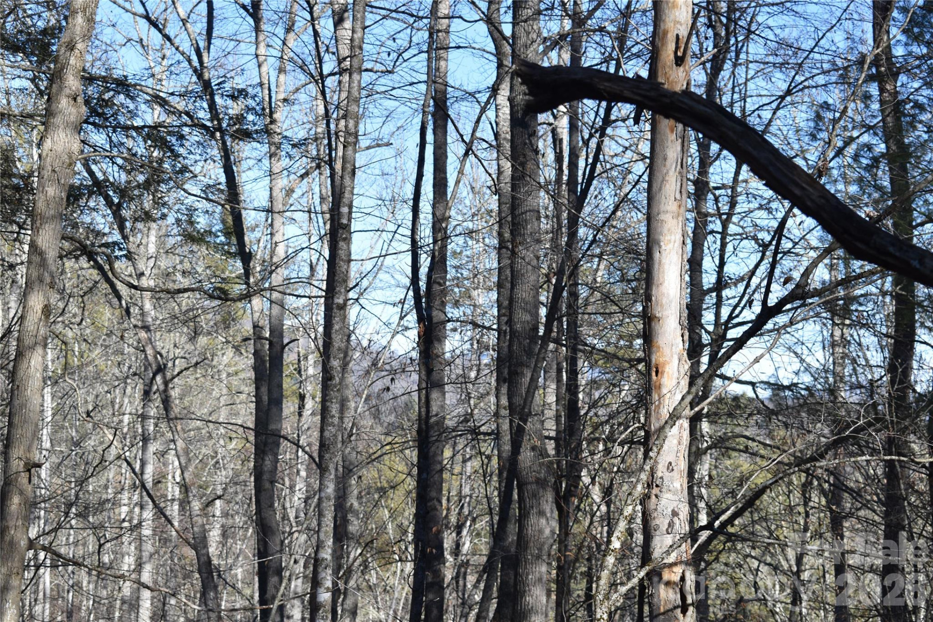 448 Sweetwater Road - Photo 13