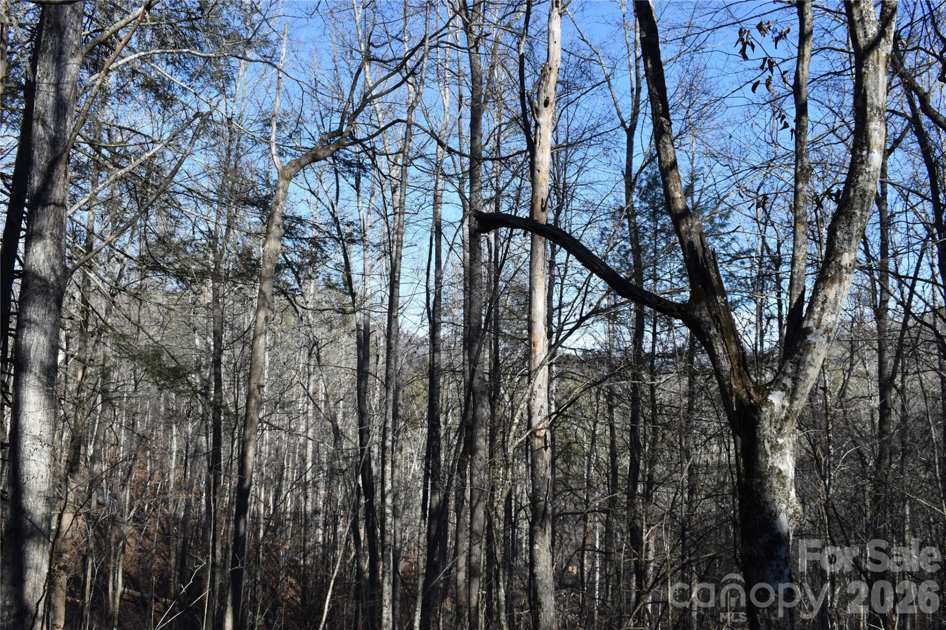 448 Sweetwater Road - Photo 14