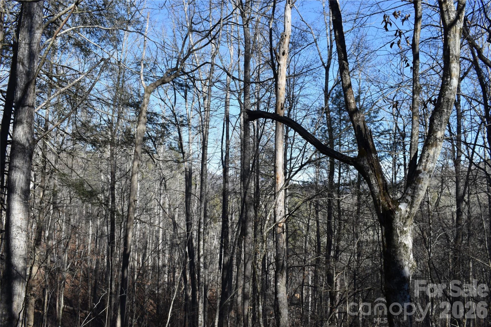 448 Sweetwater Road - Photo 14