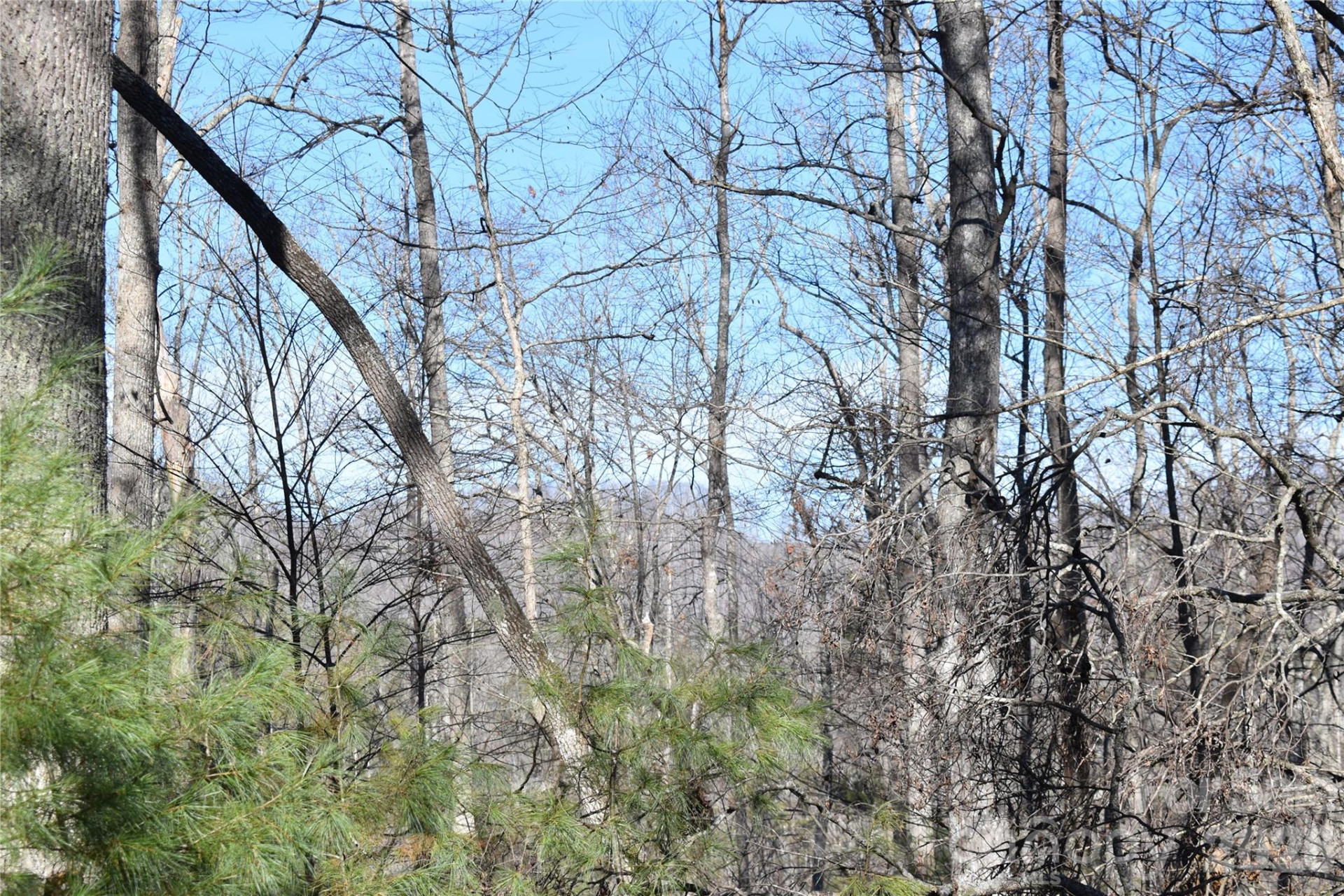 448 Sweetwater Road - Photo 15