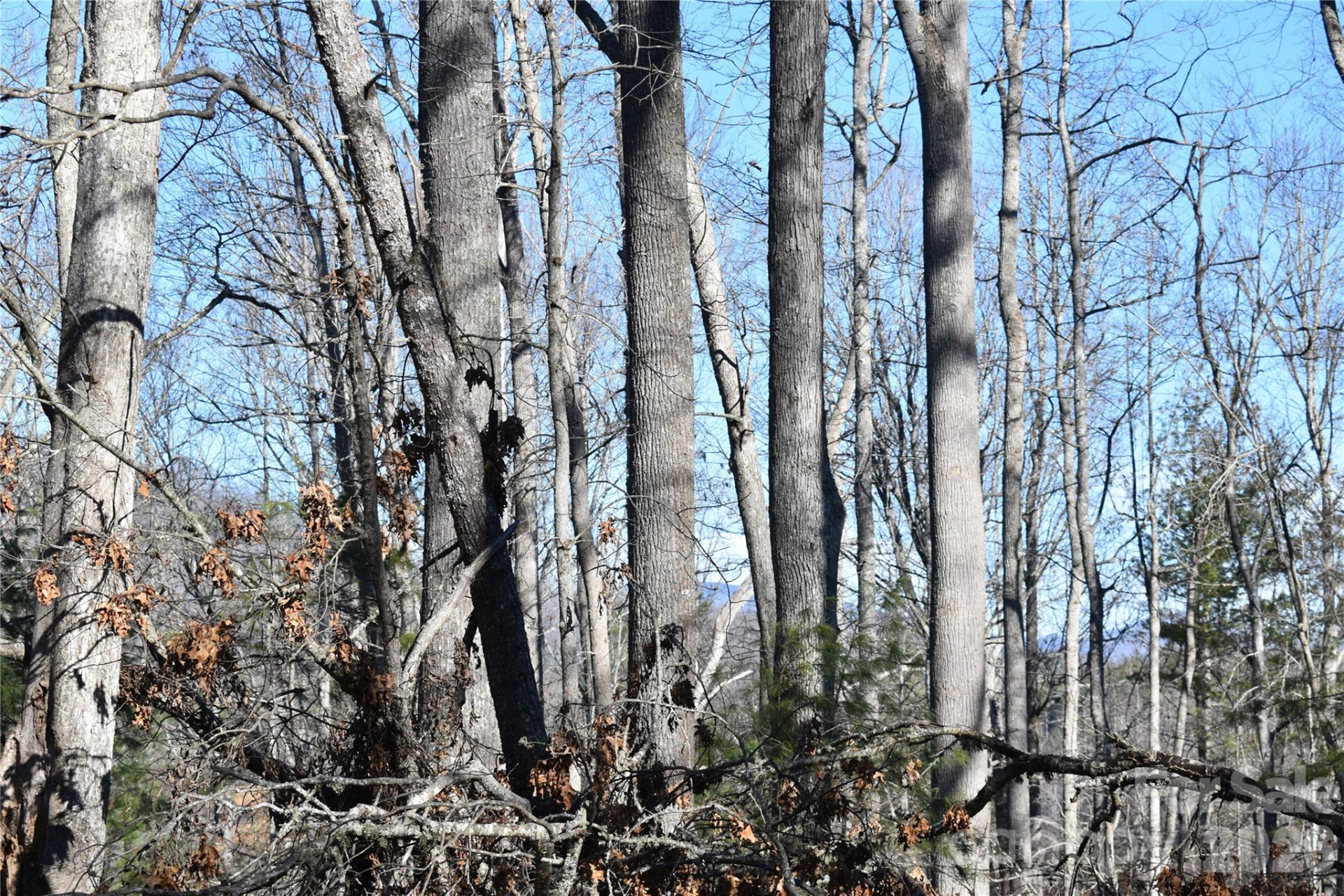 448 Sweetwater Road - Photo 16