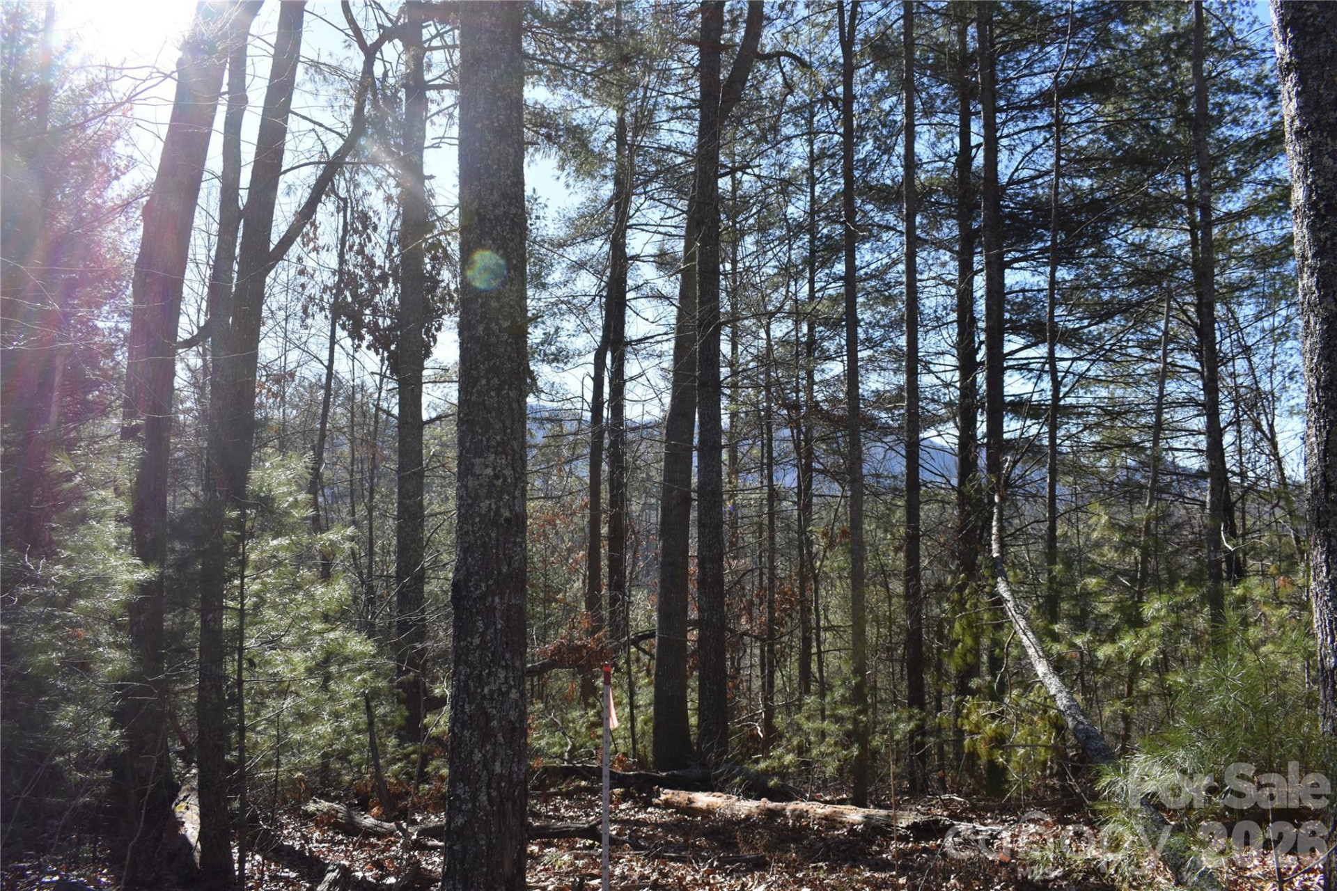 448 Sweetwater Road - Photo 17