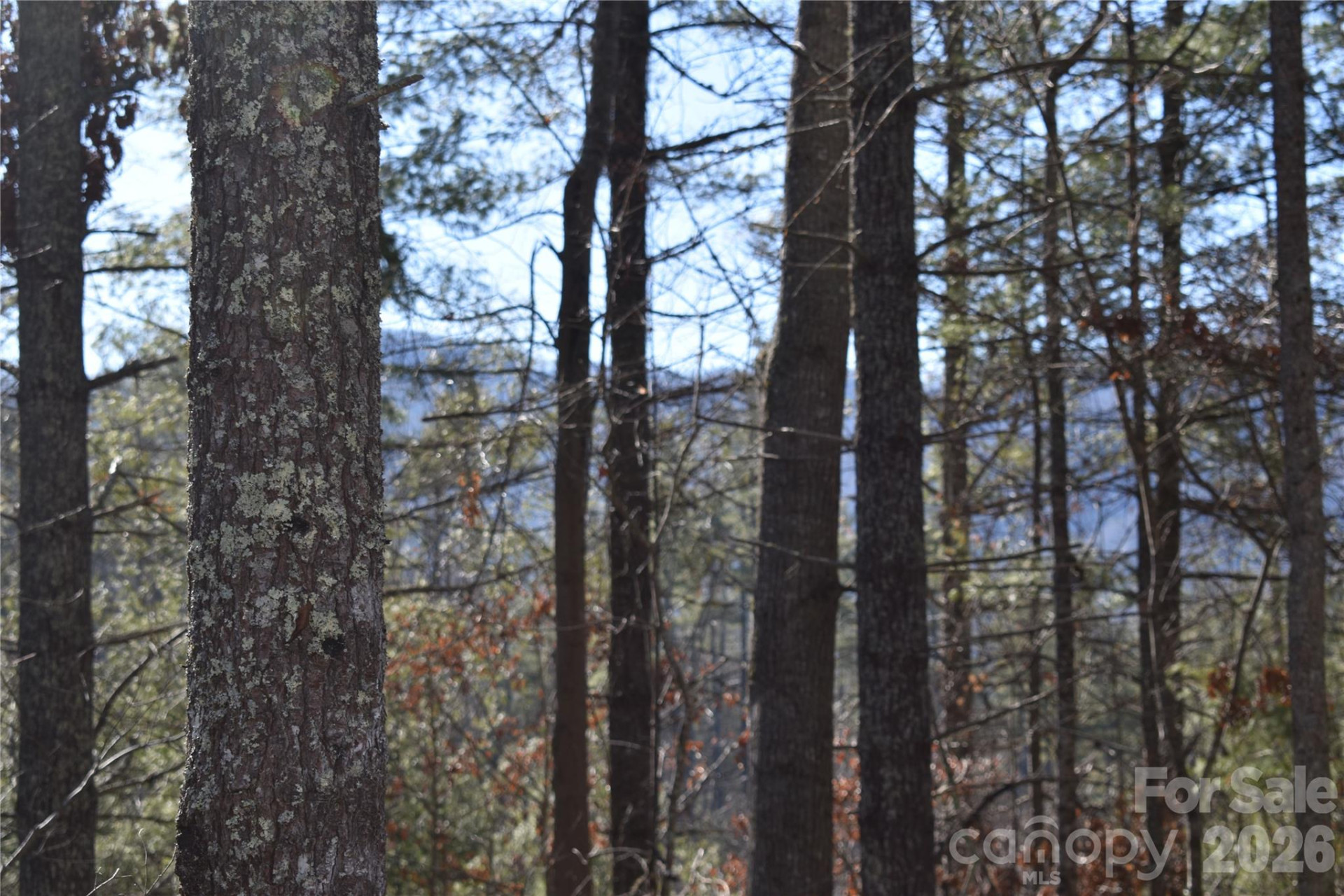 448 Sweetwater Road - Photo 18