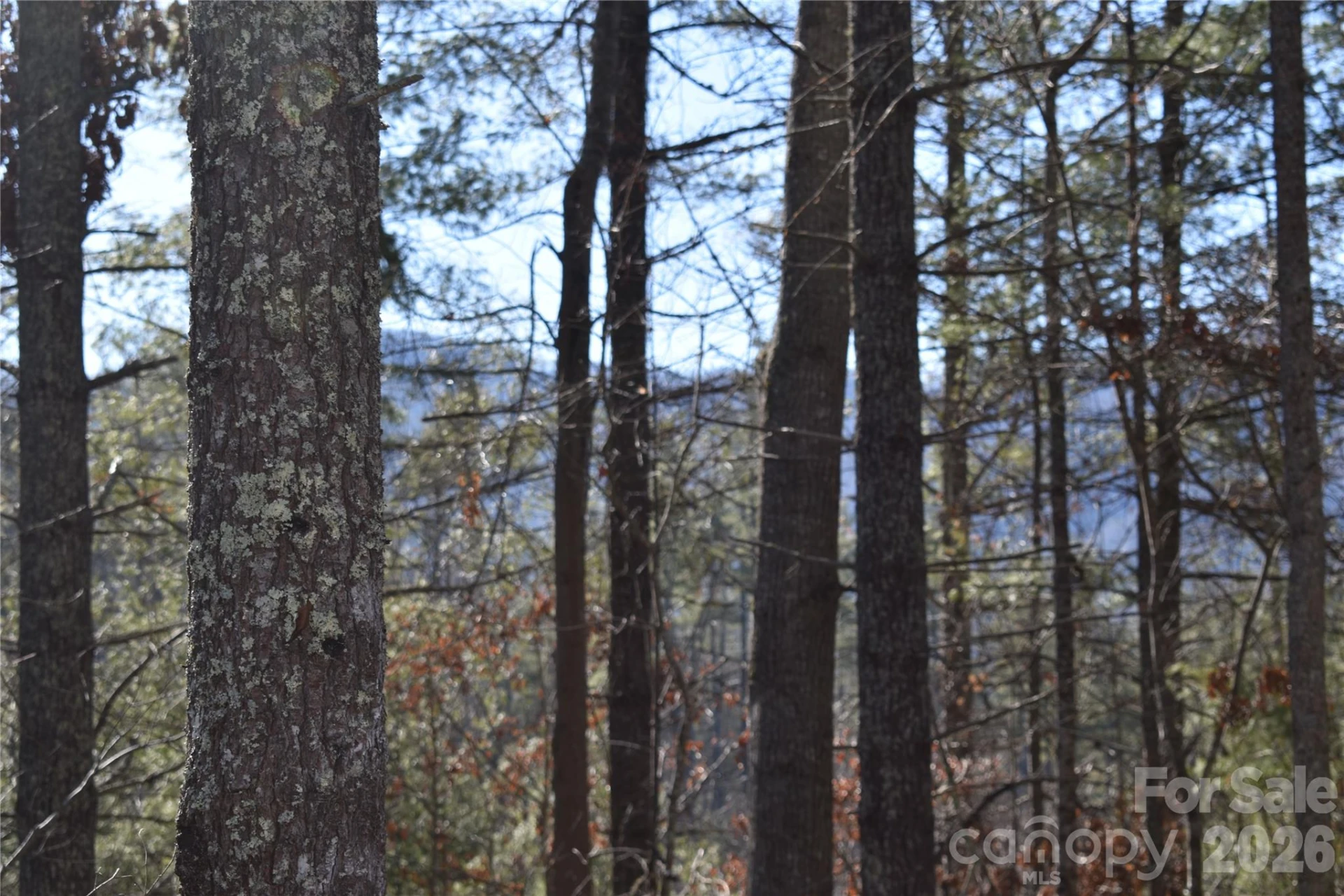 448 Sweetwater Road - Photo 18