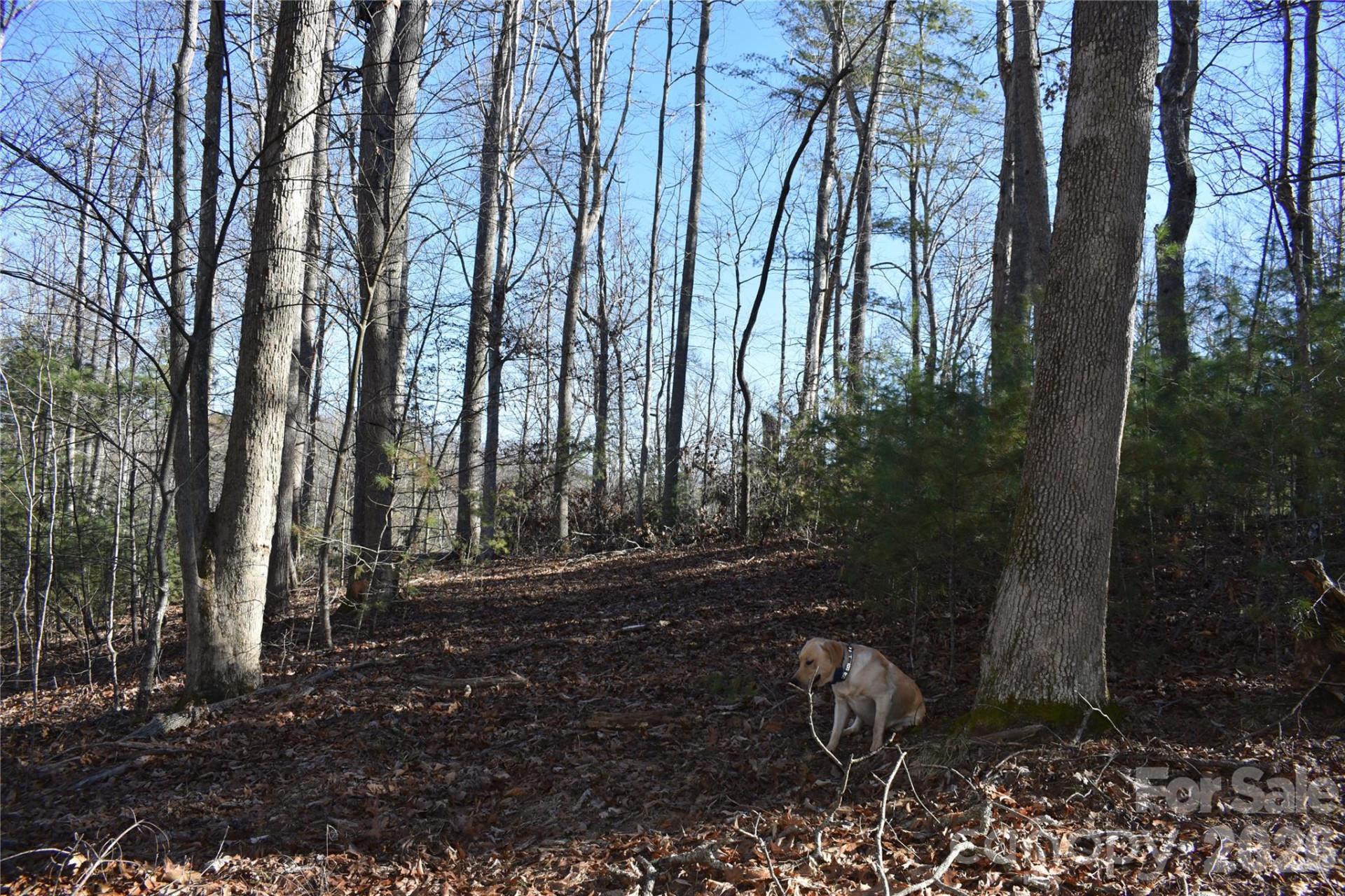 448 Sweetwater Road - Photo 19