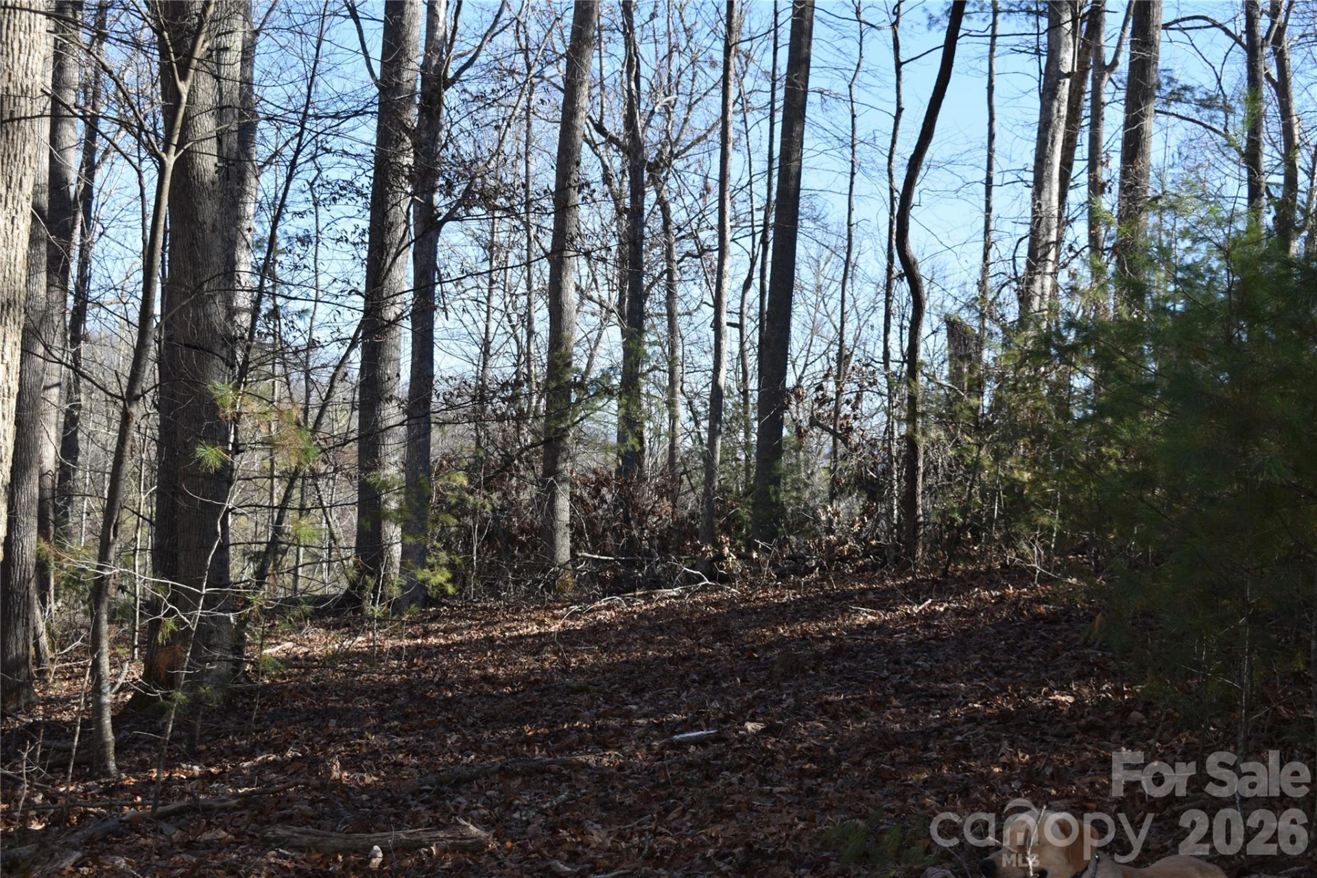 448 Sweetwater Road - Photo 20