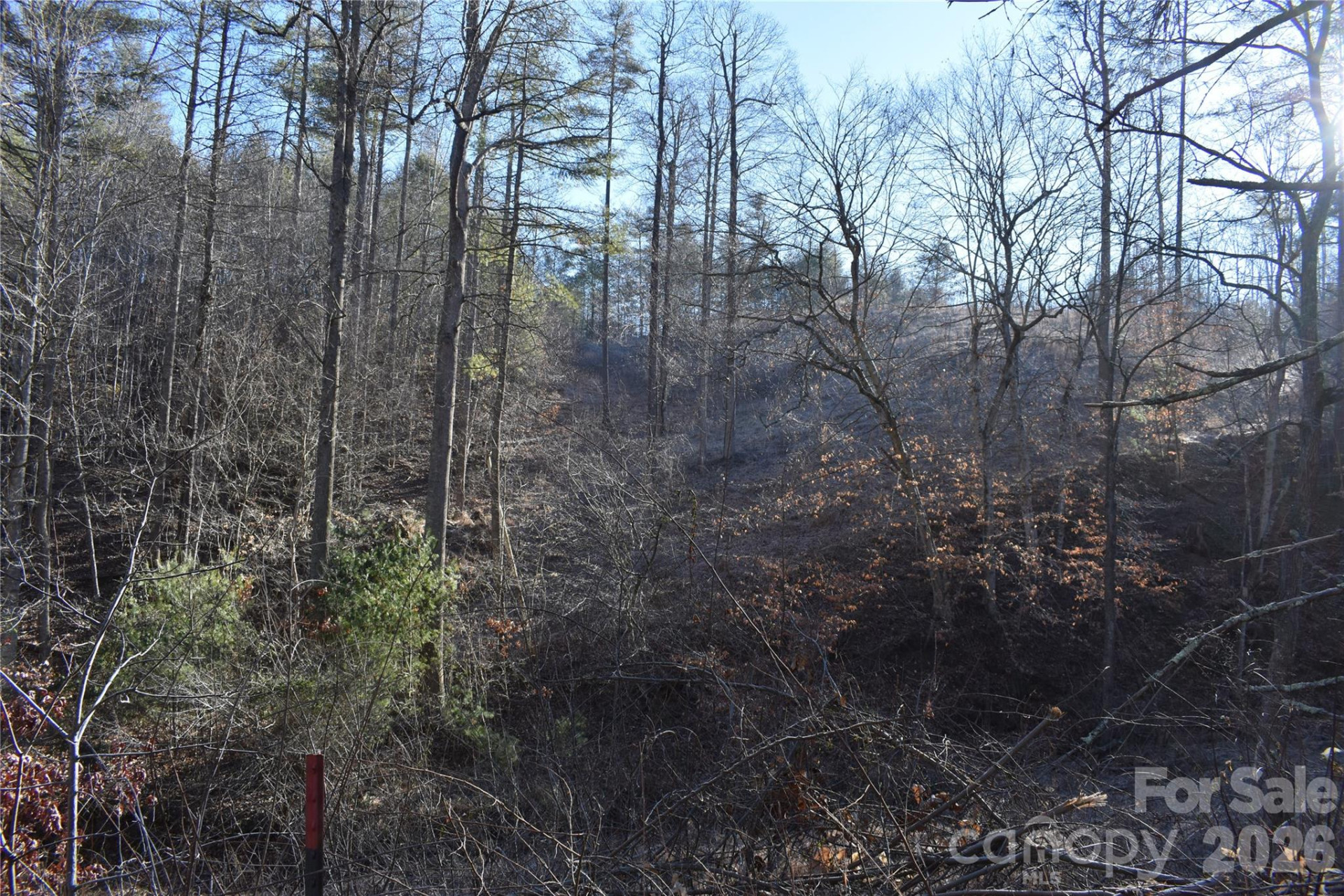 448 Sweetwater Road - Photo 3