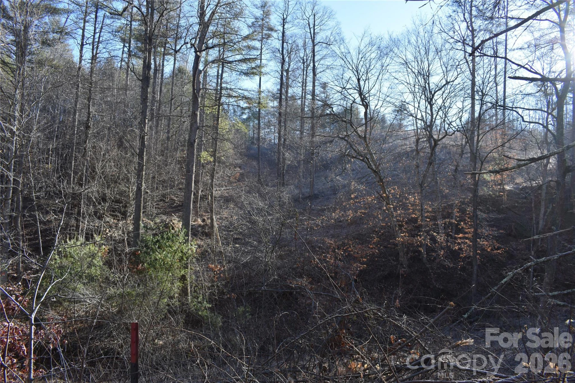 448 Sweetwater Road - Photo 3
