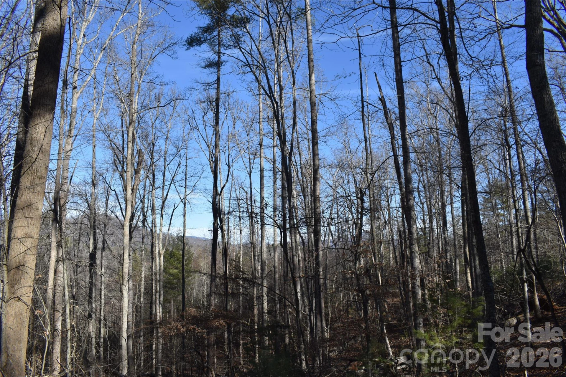 448 Sweetwater Road - Photo 21