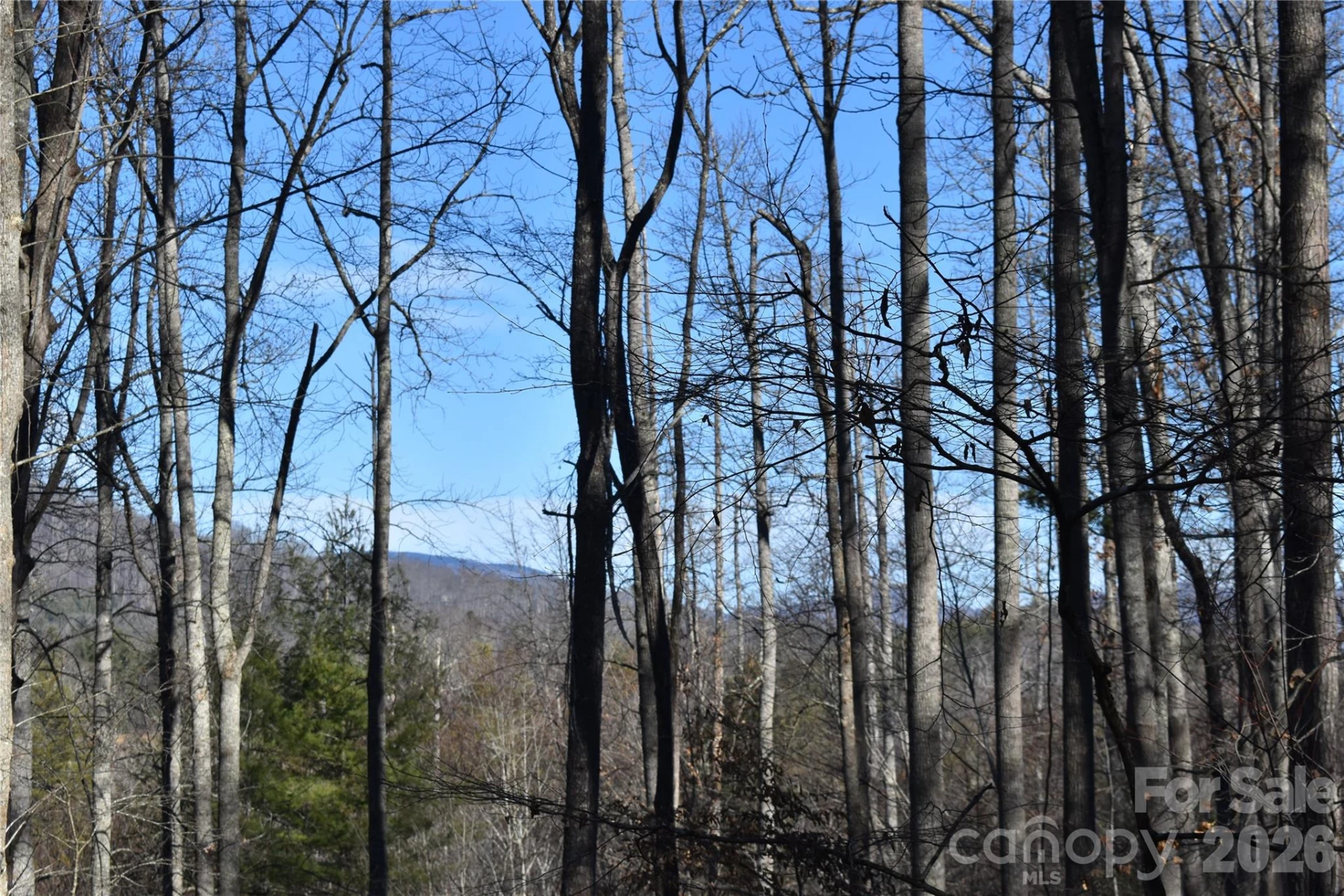 448 Sweetwater Road - Photo 22