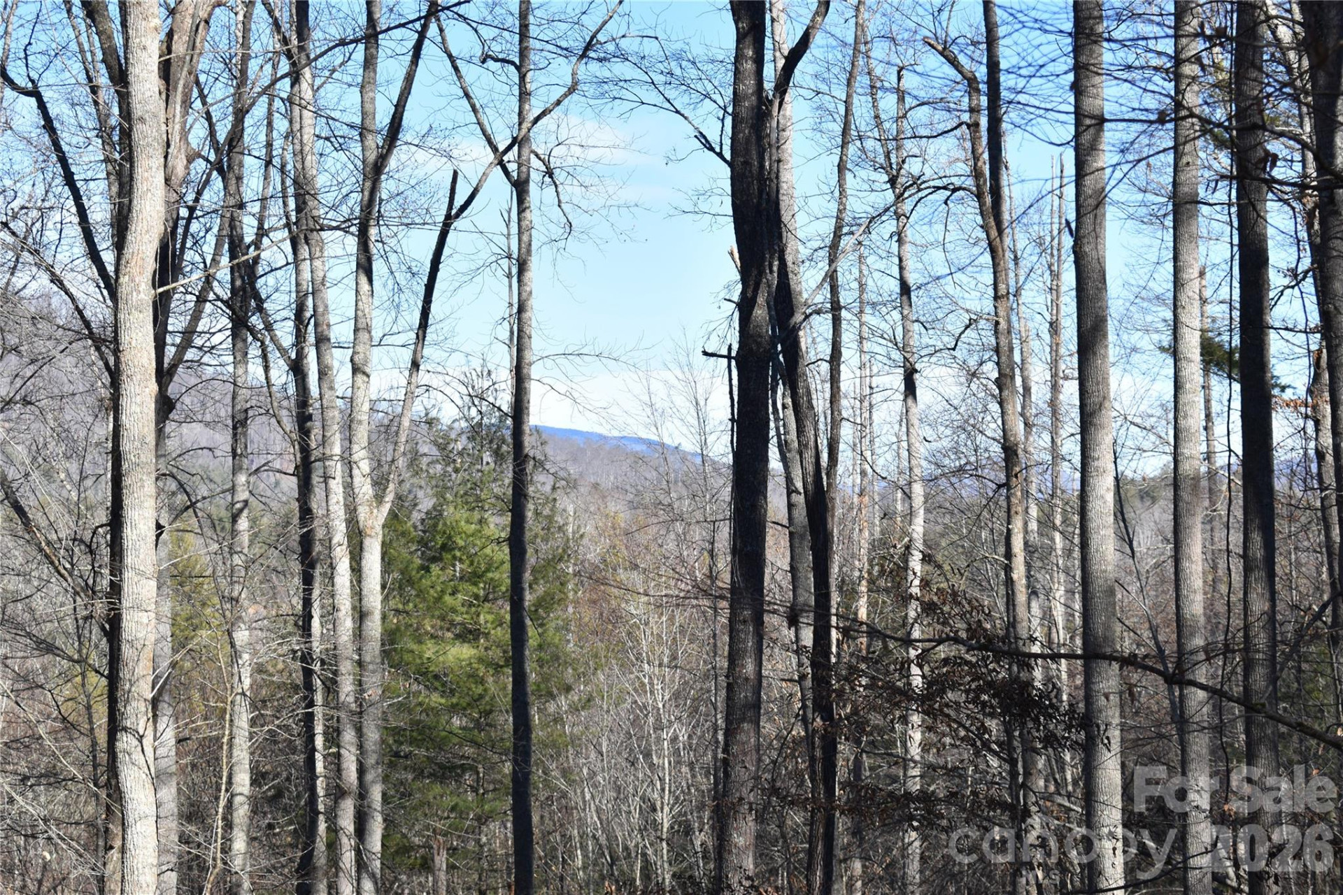 448 Sweetwater Road - Photo 23