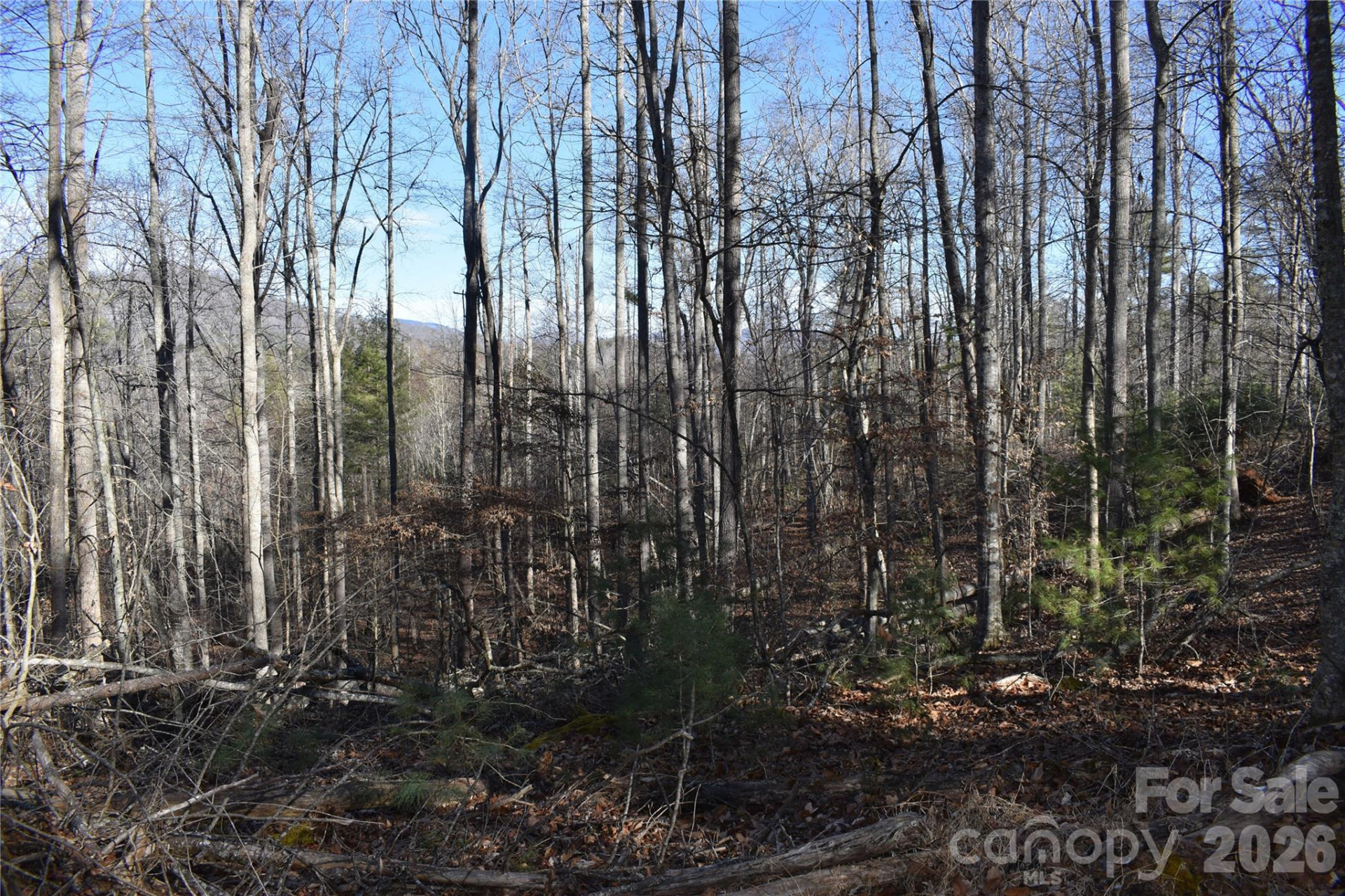 448 Sweetwater Road - Photo 24