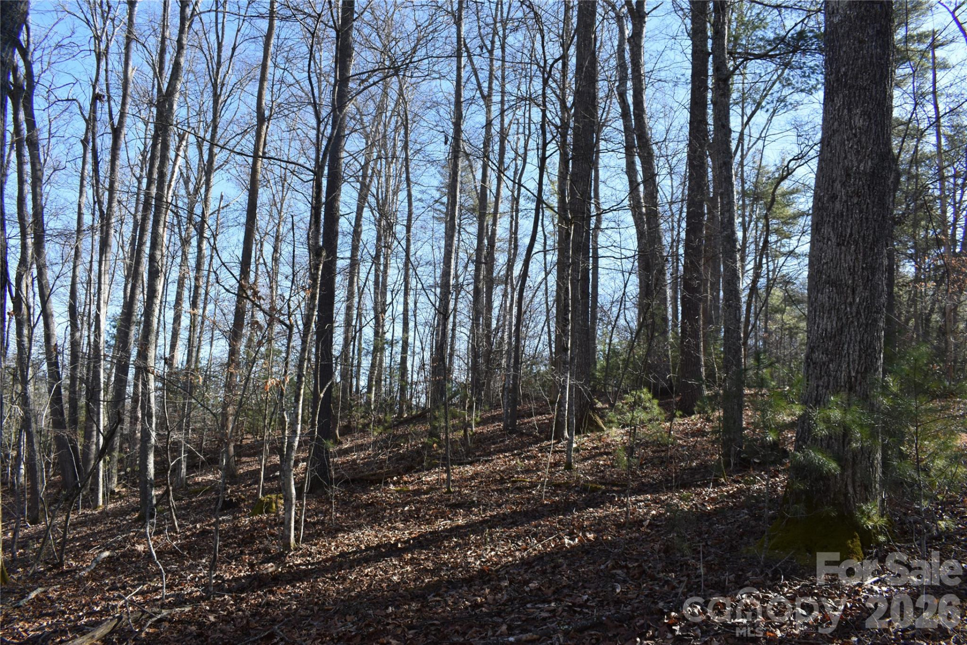 448 Sweetwater Road - Photo 25