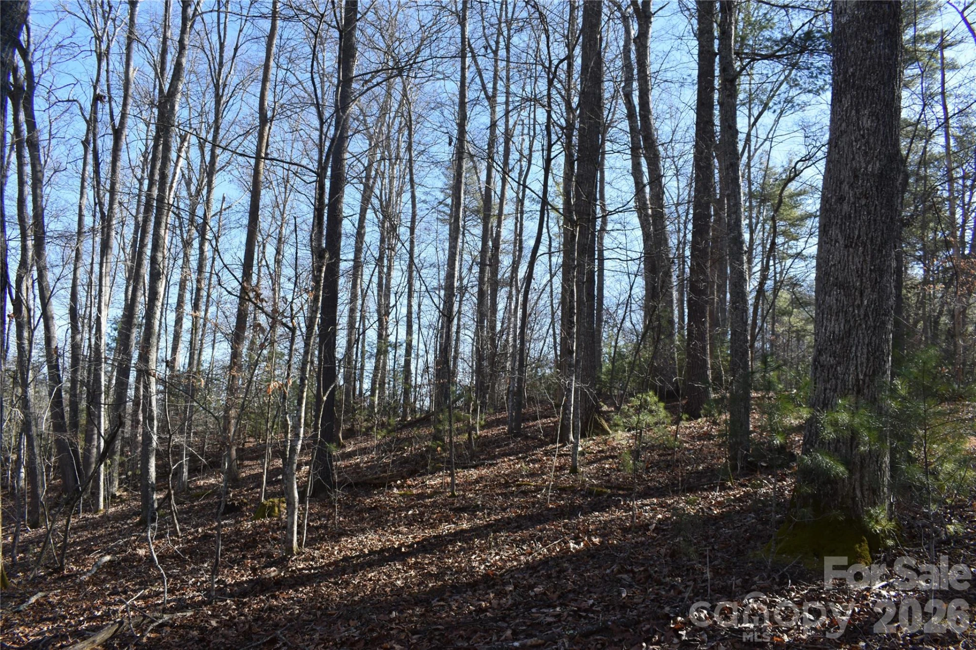 448 Sweetwater Road - Photo 25