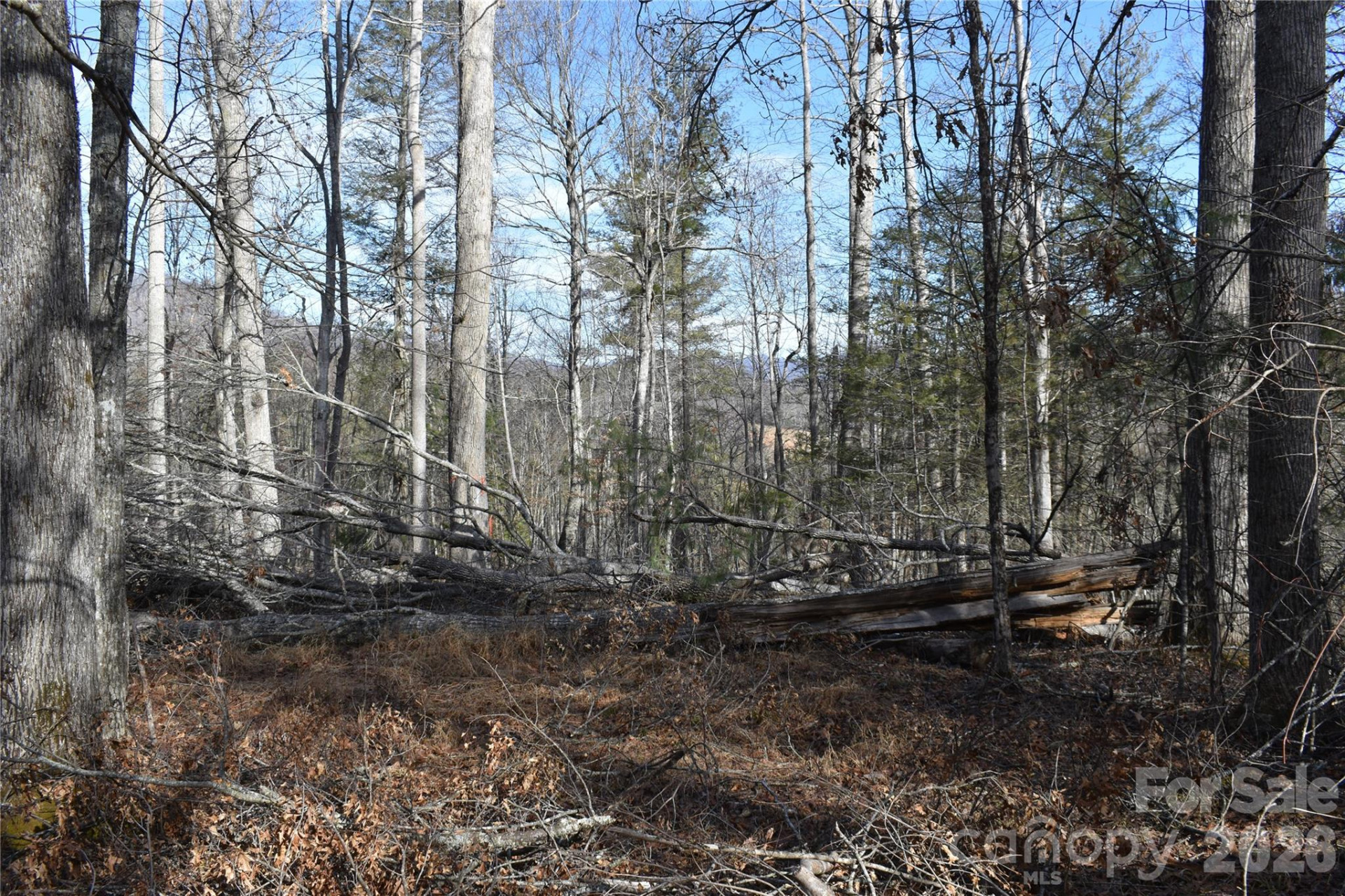 448 Sweetwater Road - Photo 26